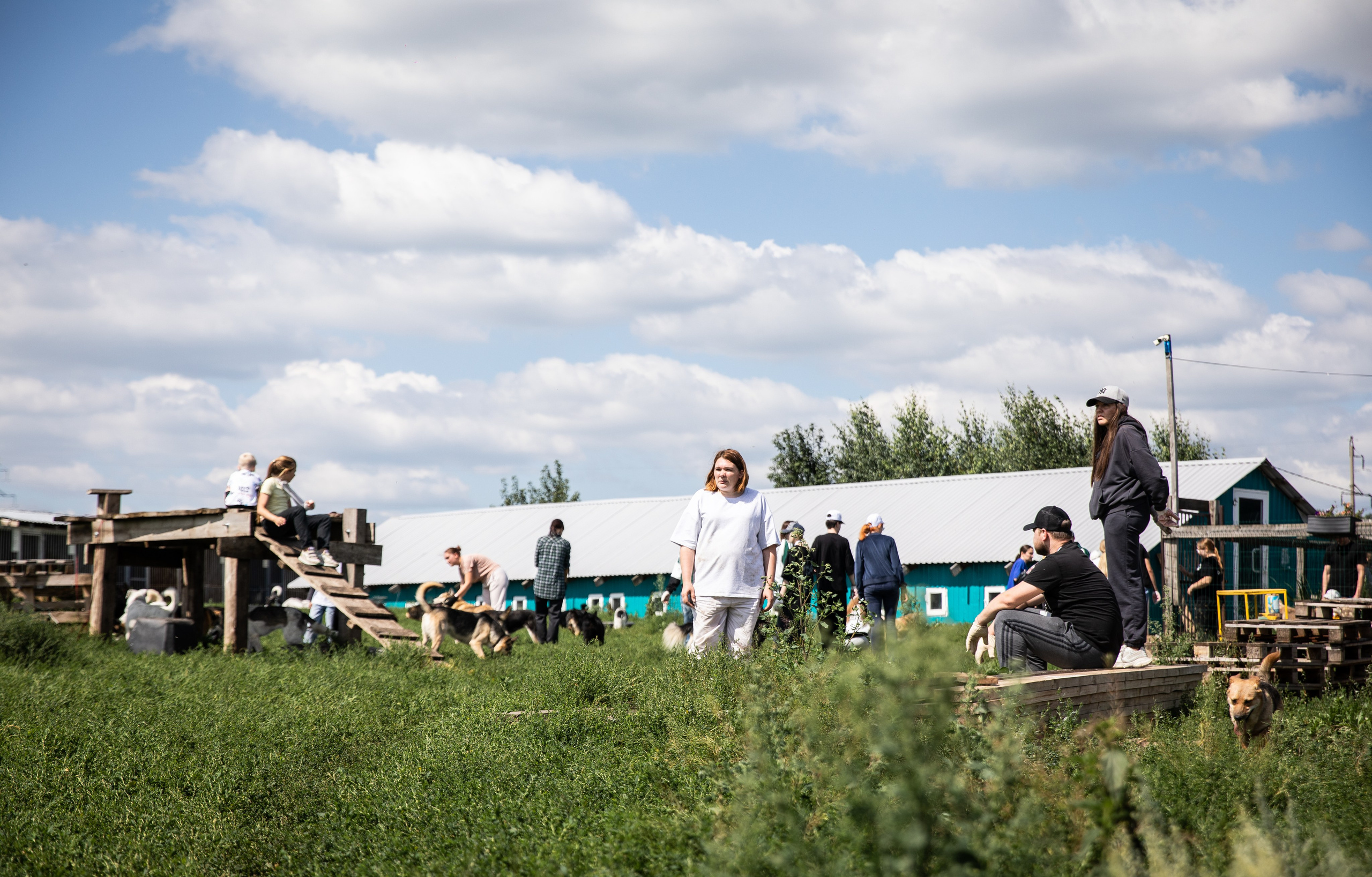 Приют — Наш дом. Репортажный и свадебный фотограф в Челябинске Елисеев Павел