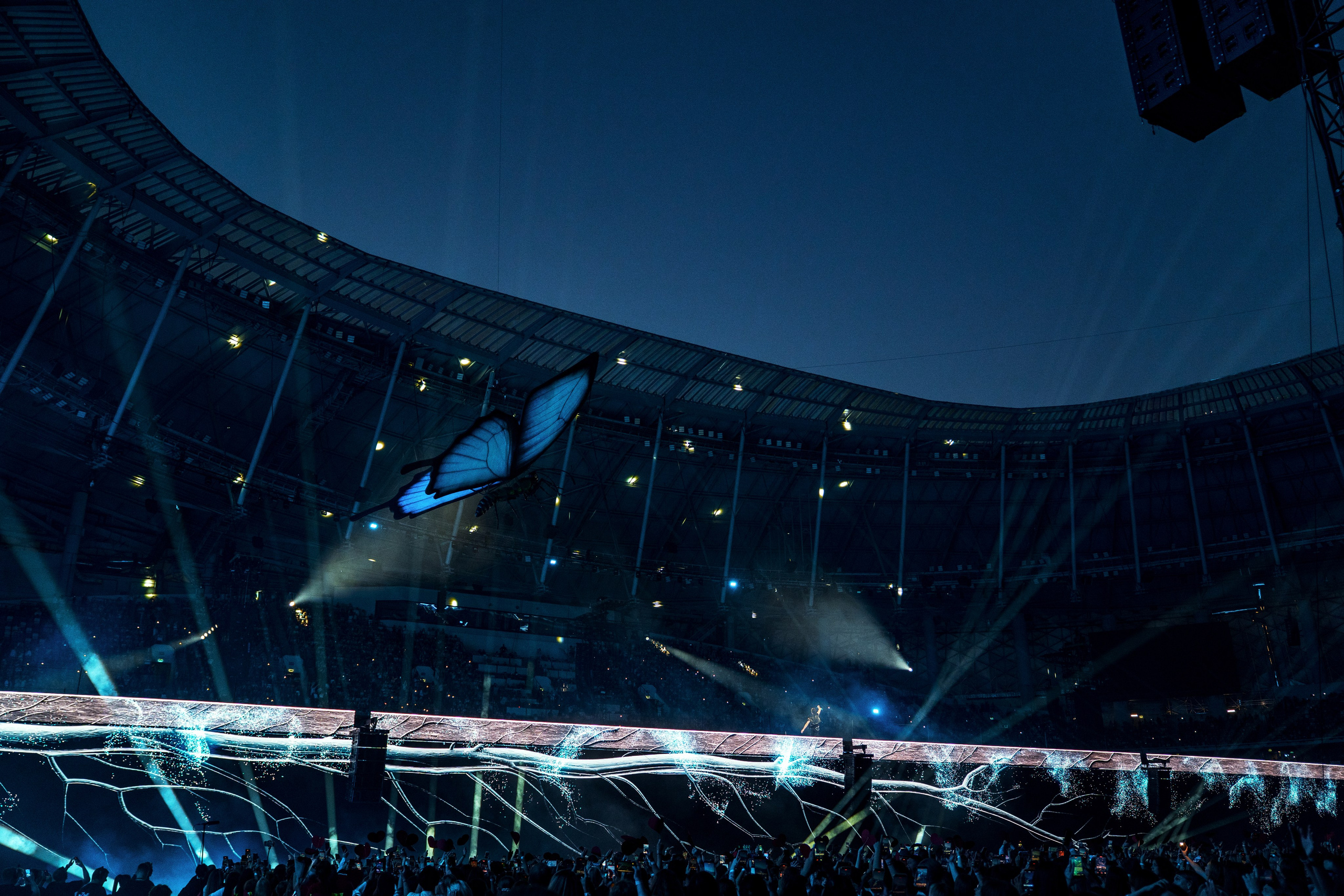 LYMpro