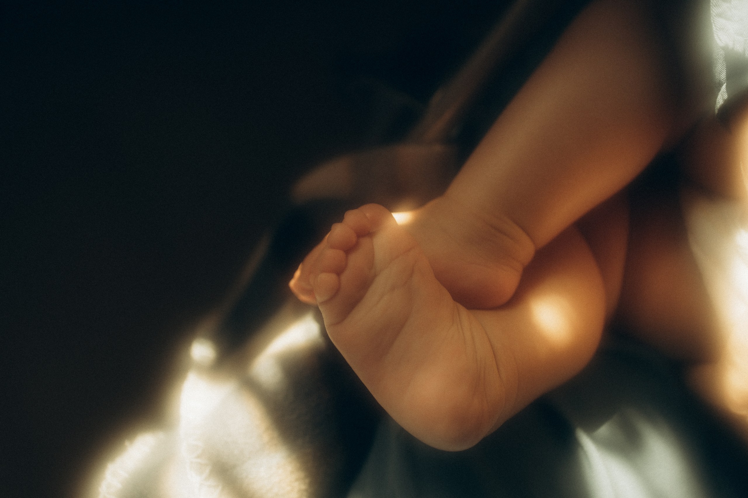 У Поли есть попугай Кеша, а ещё любящие мама с папой. Семейный фотограф Новосибирск Фотограф на выписку Новосибирск