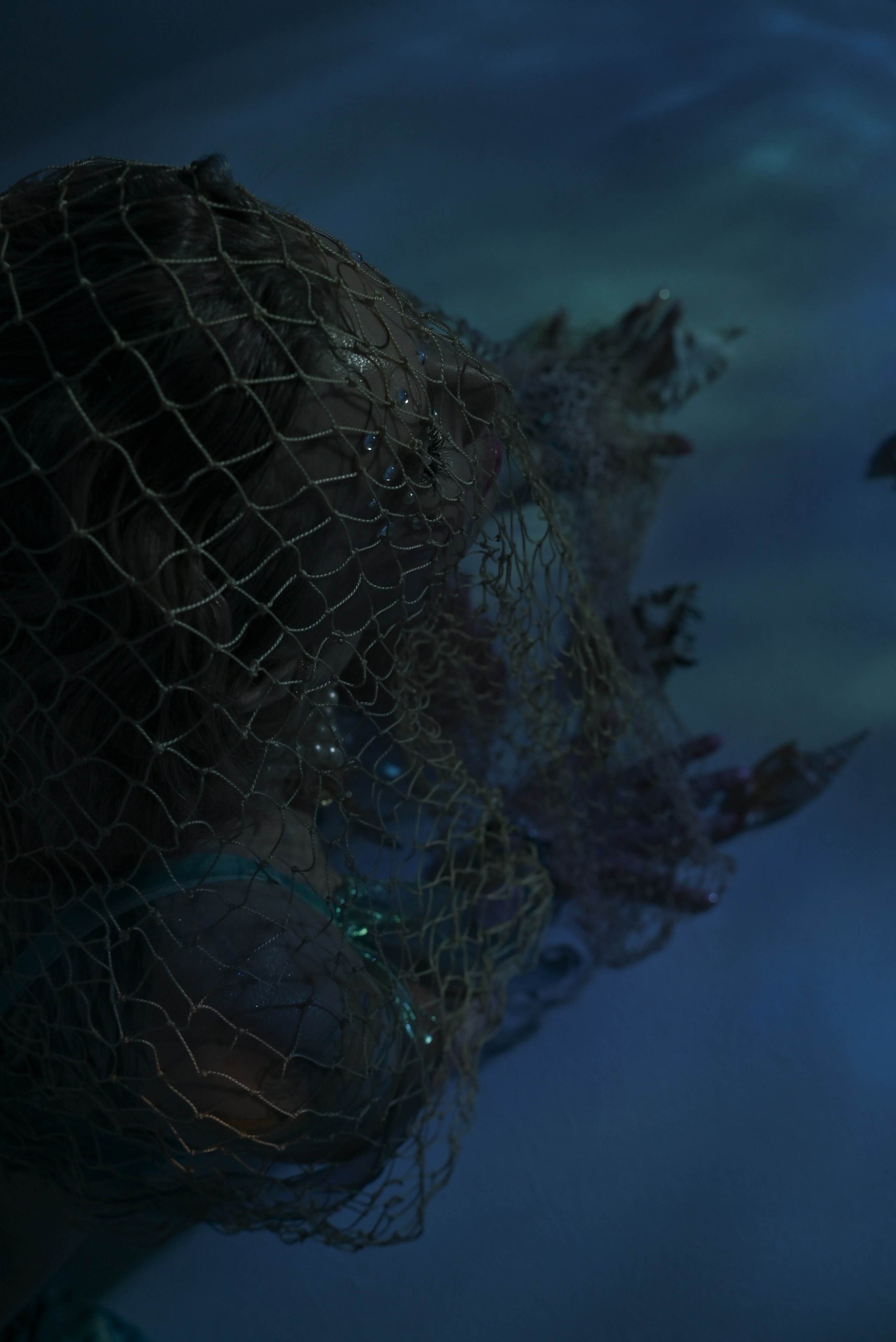 Ariel. Ваш фотограф