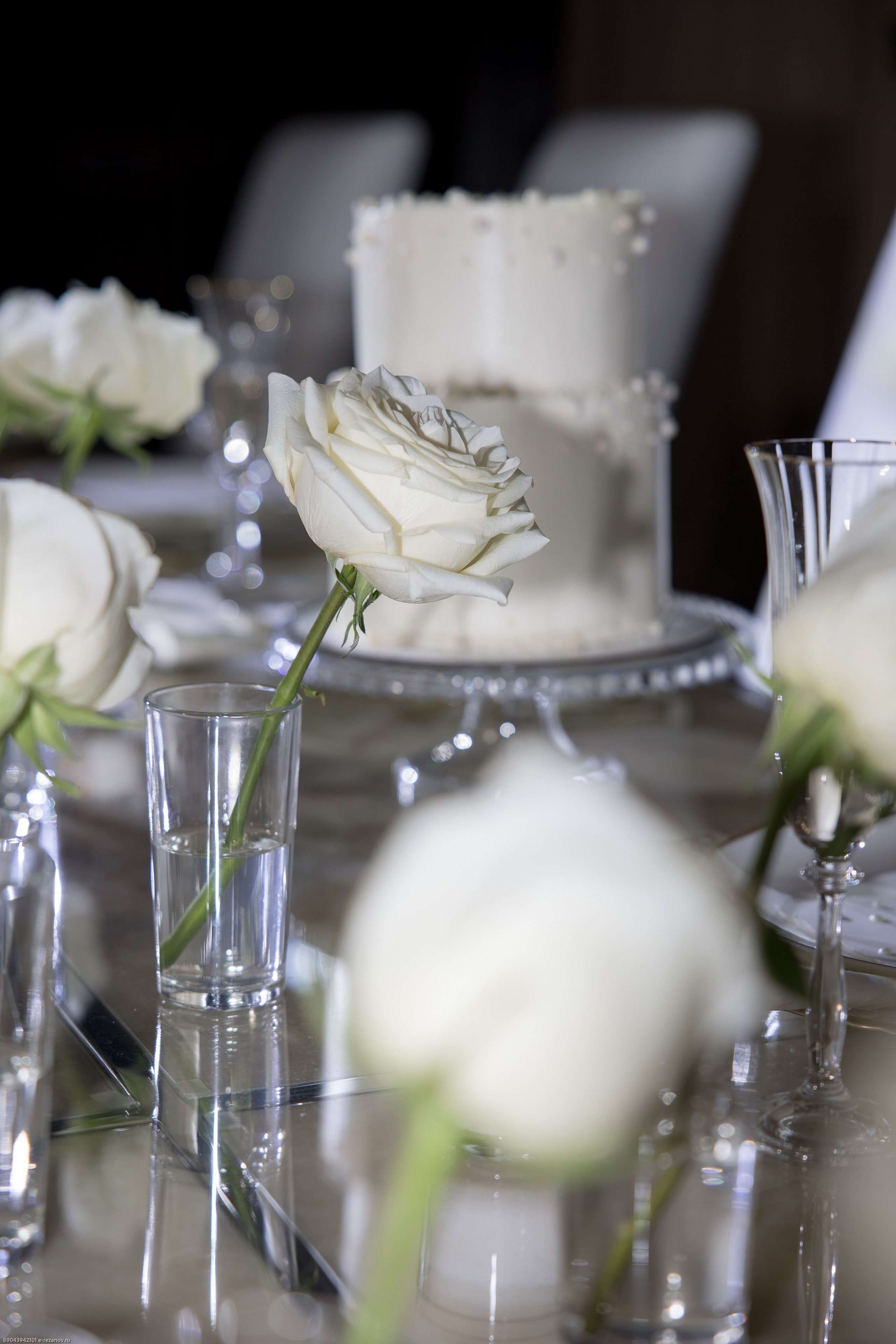 Даниэль и Елизавета. Свадебный и семейный фотограф Евгений Резанов