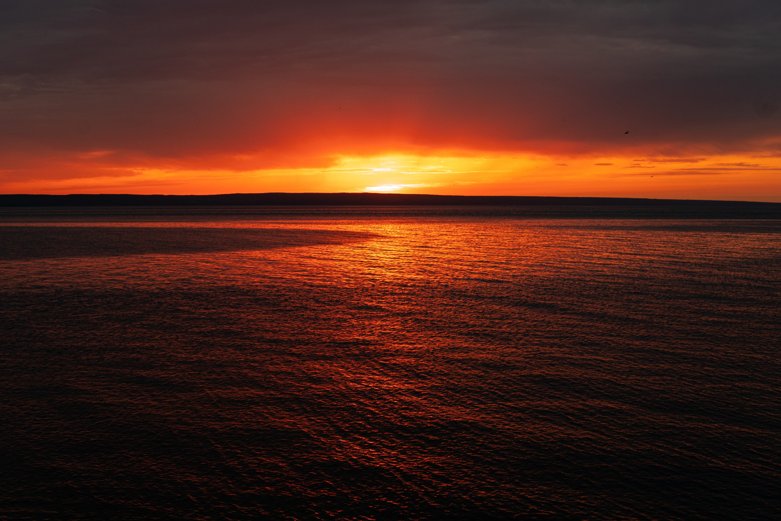 Яхтинг. Творческий и репортажный фотограф в Москве Клим Долгов