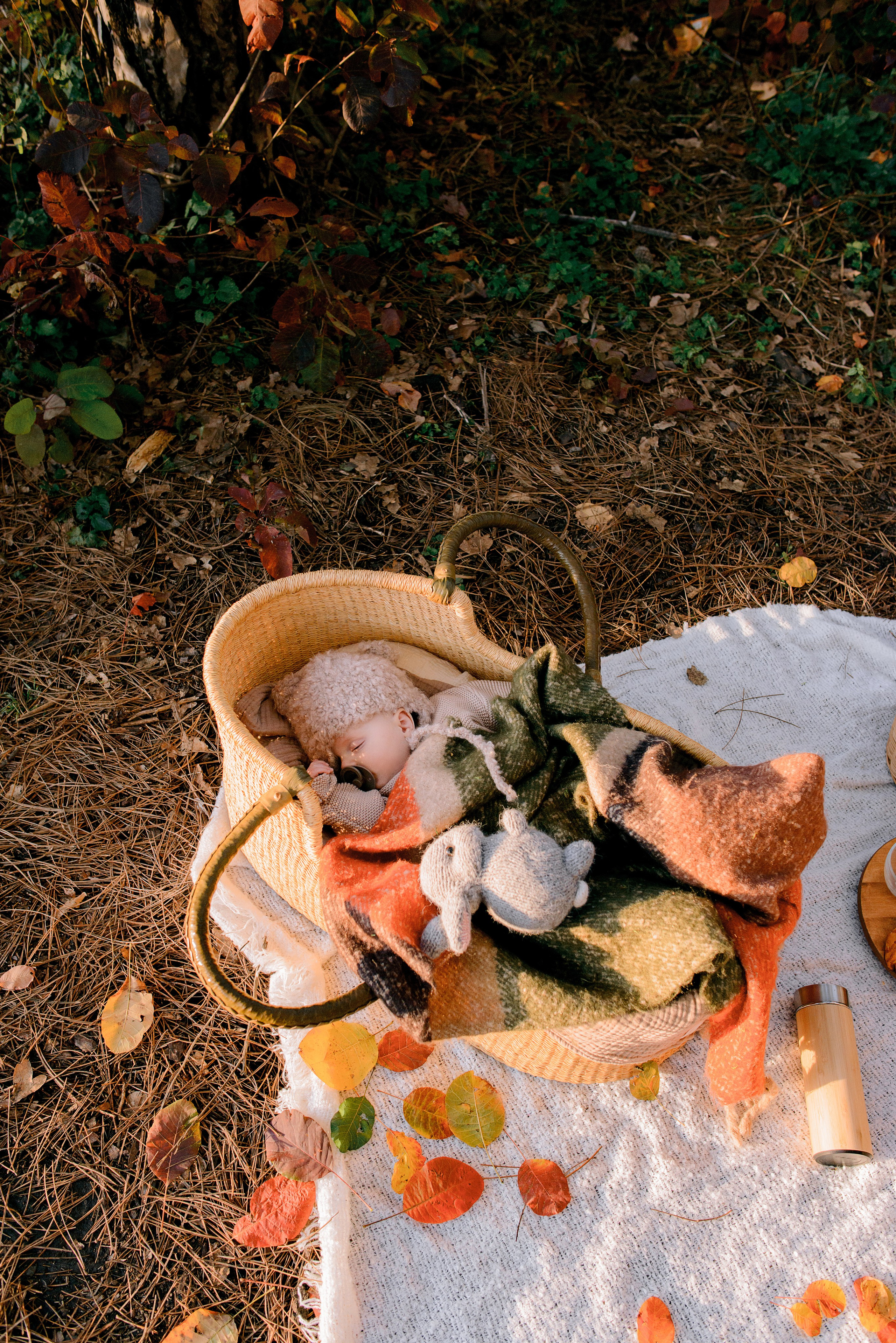Олеся, Мирон и Сава. Свадебный и семейный фотограф в Ростове-на-Дону Дарья Герасименко