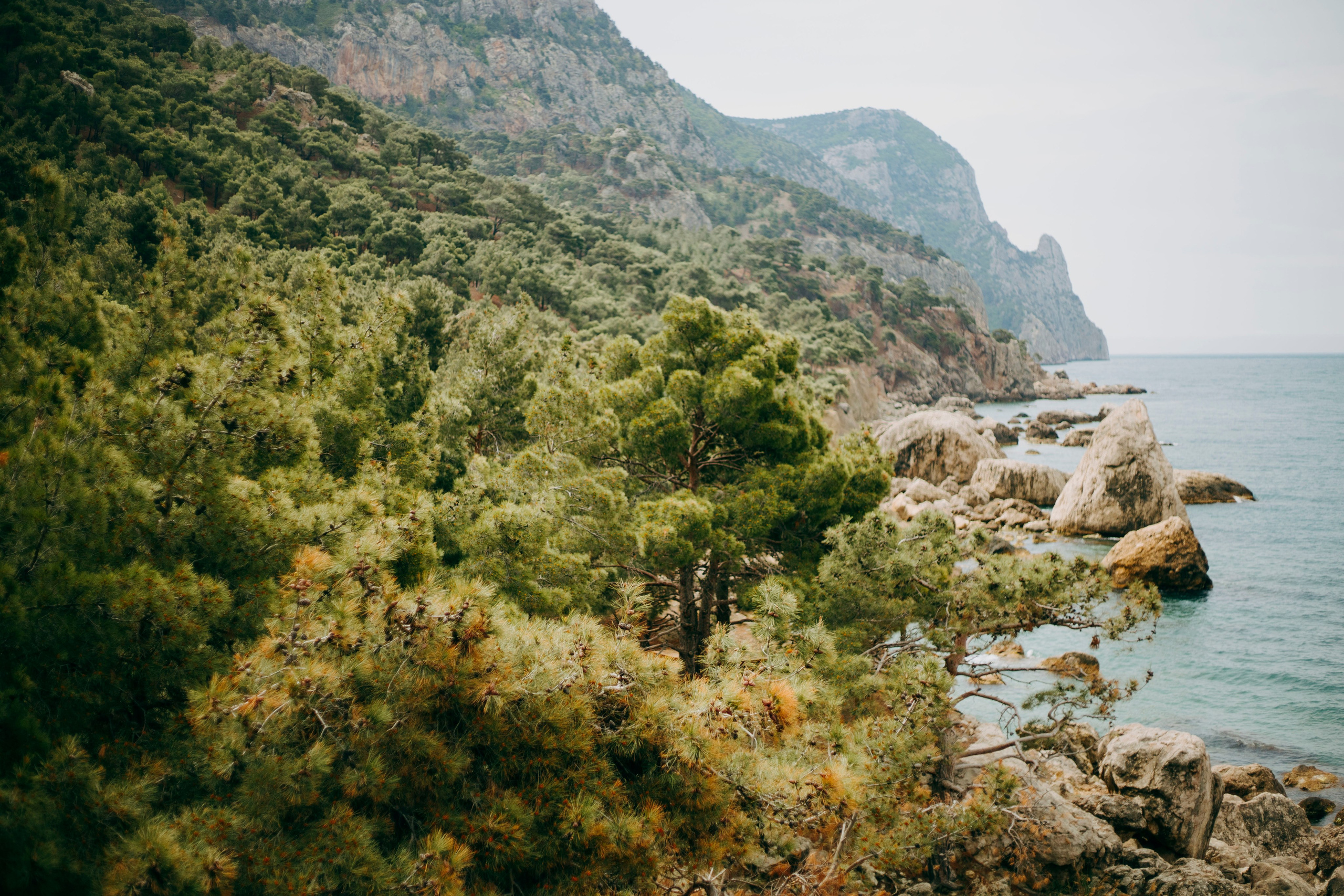 МореНебоОблака. Ваш портретный фотограф в Москве Катя Прокофьева