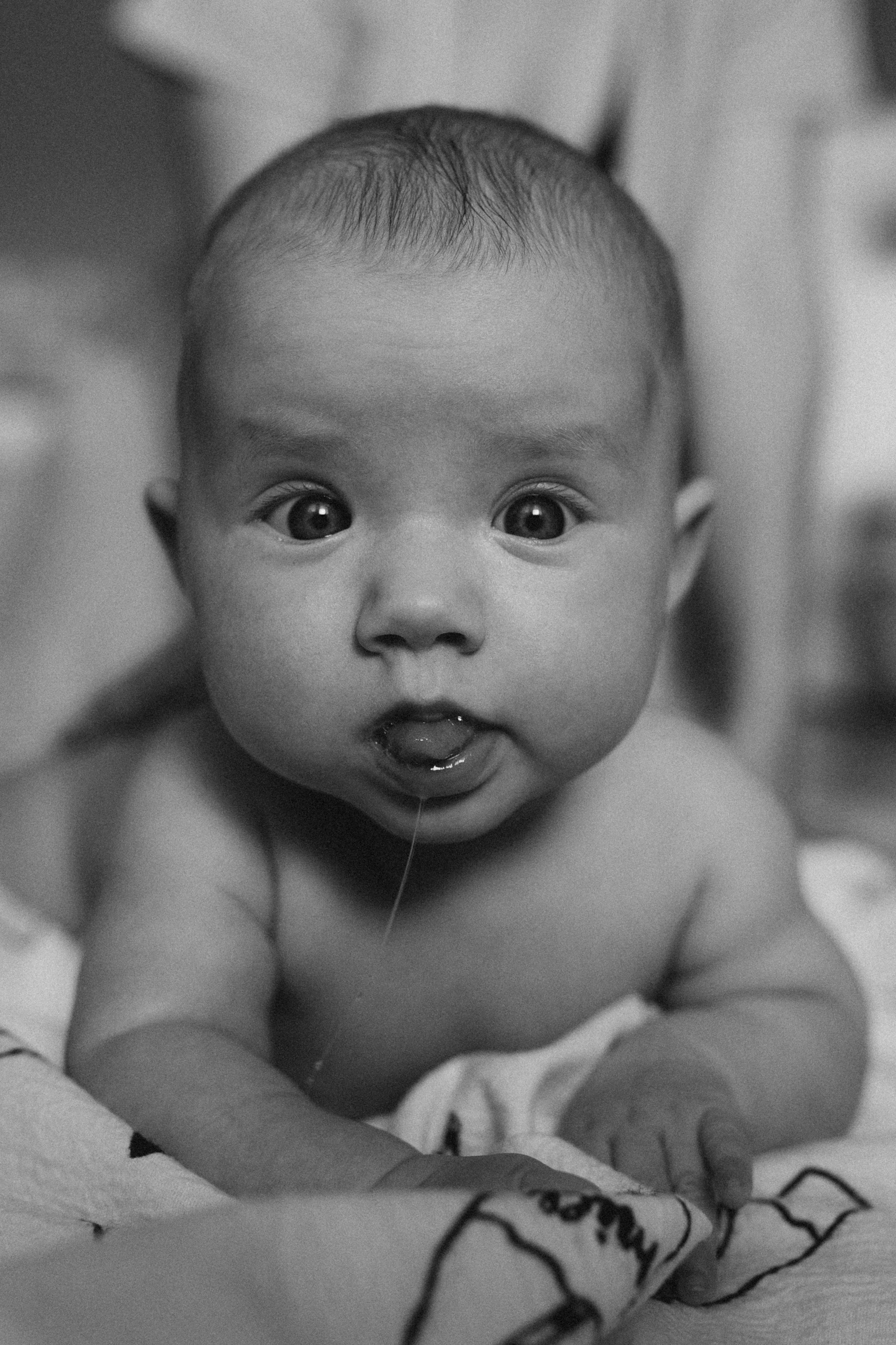 Дана Нелла. Семейный фотограф в Минске и РБ Стеликова Анна