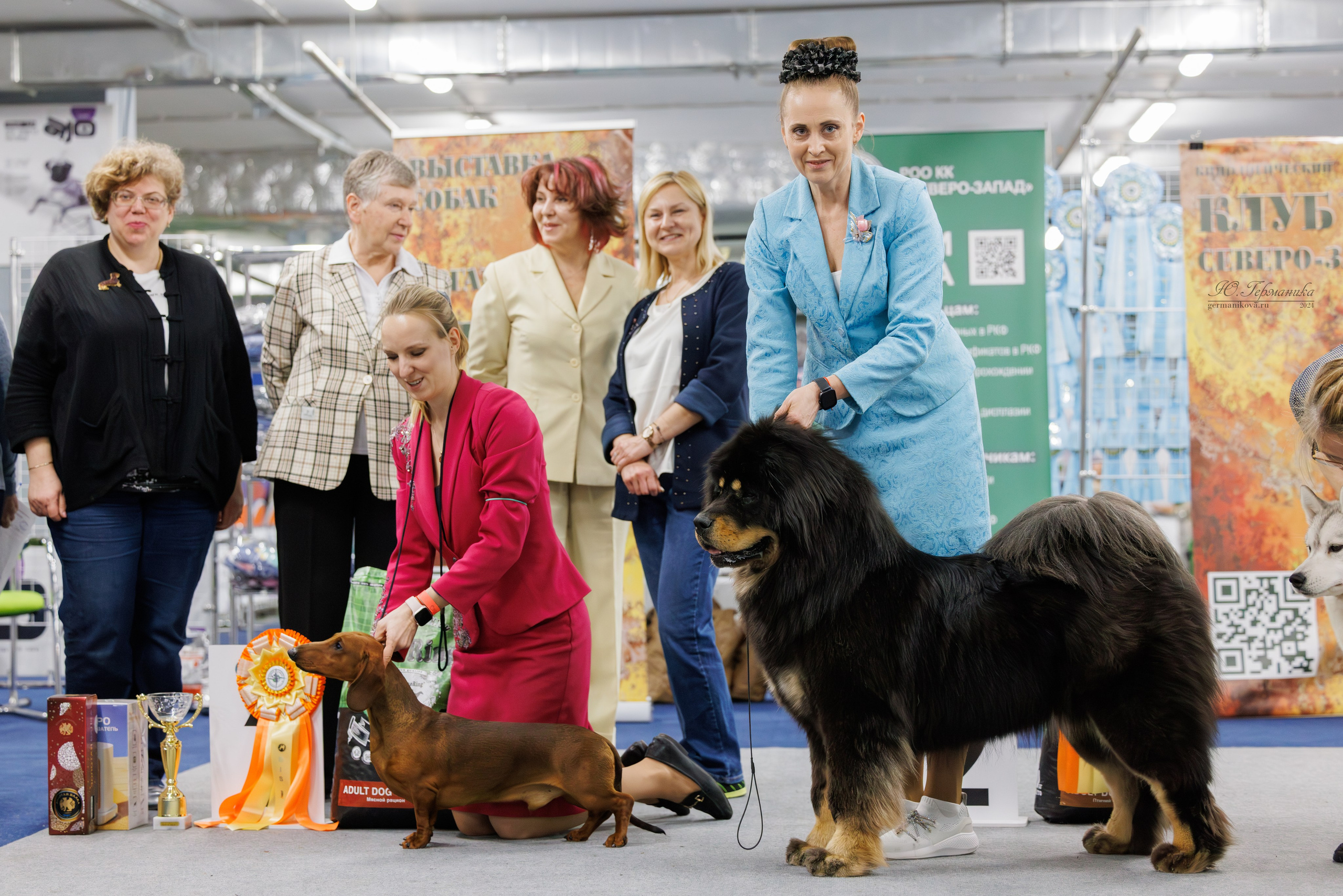 Сфера и Крокус 8,9,16 и 30.03.2025. Фотограф-анималист Юлия Германика