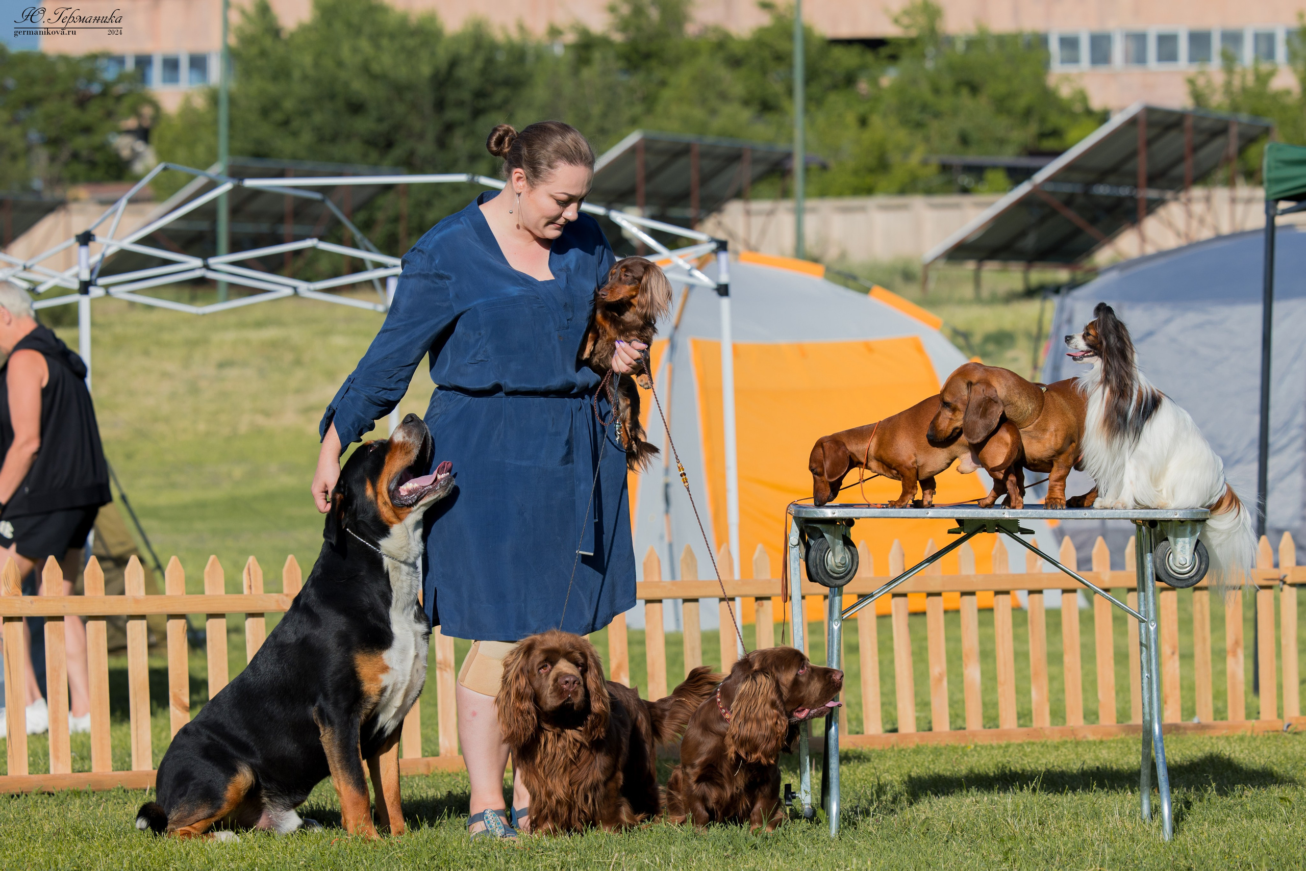 Ереван 3-5.06.2024. Фотограф-анималист Юлия Германика