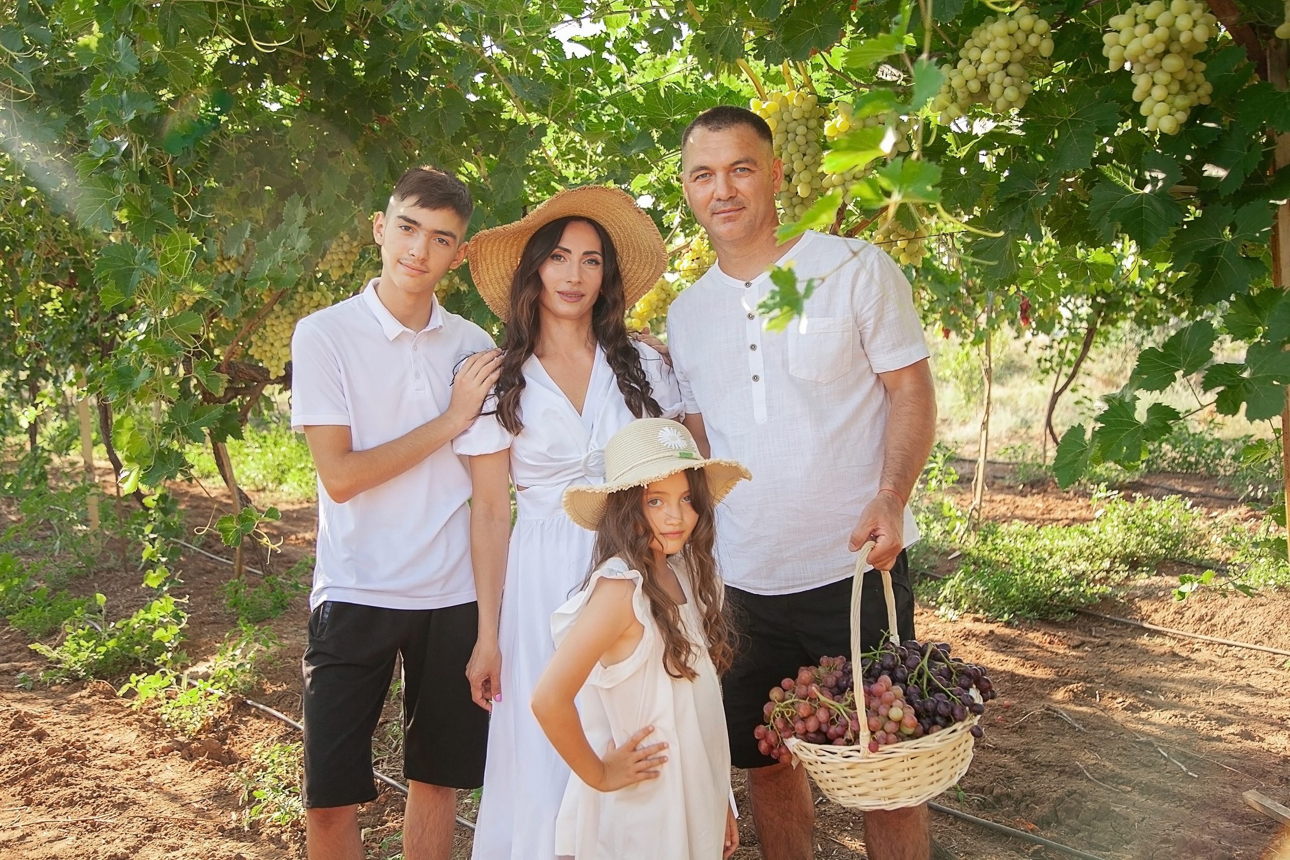 ВИНОГРАДНИКИ. Фотограф в Крыму