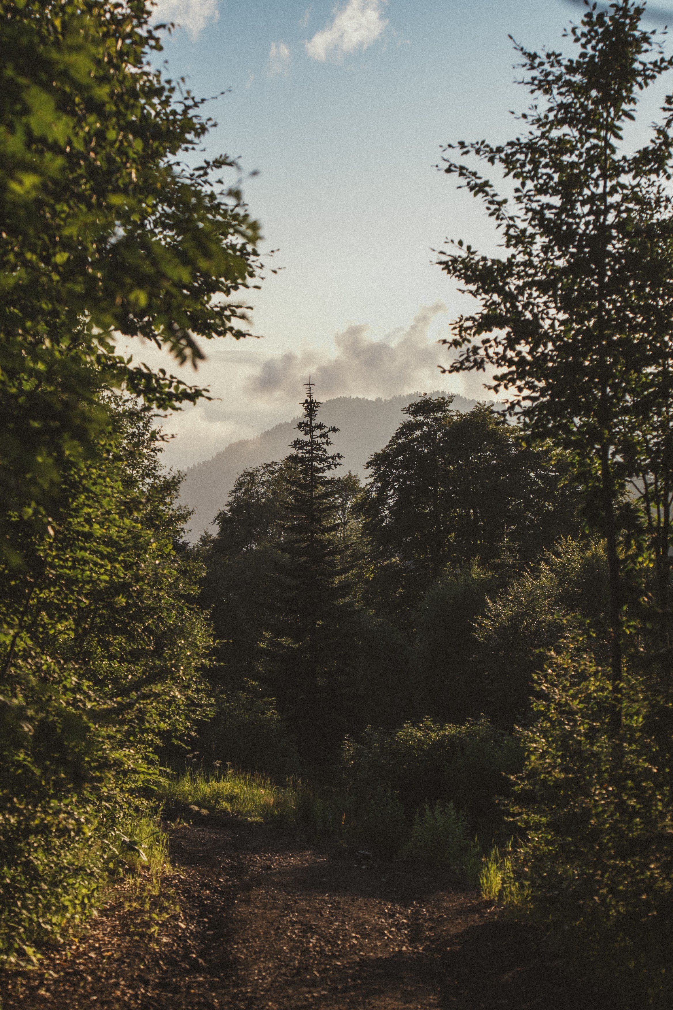 Нахазо ✽ Июль. Репортажный фотограф | Роза Хутор Красная Поляна Сочи Сириус