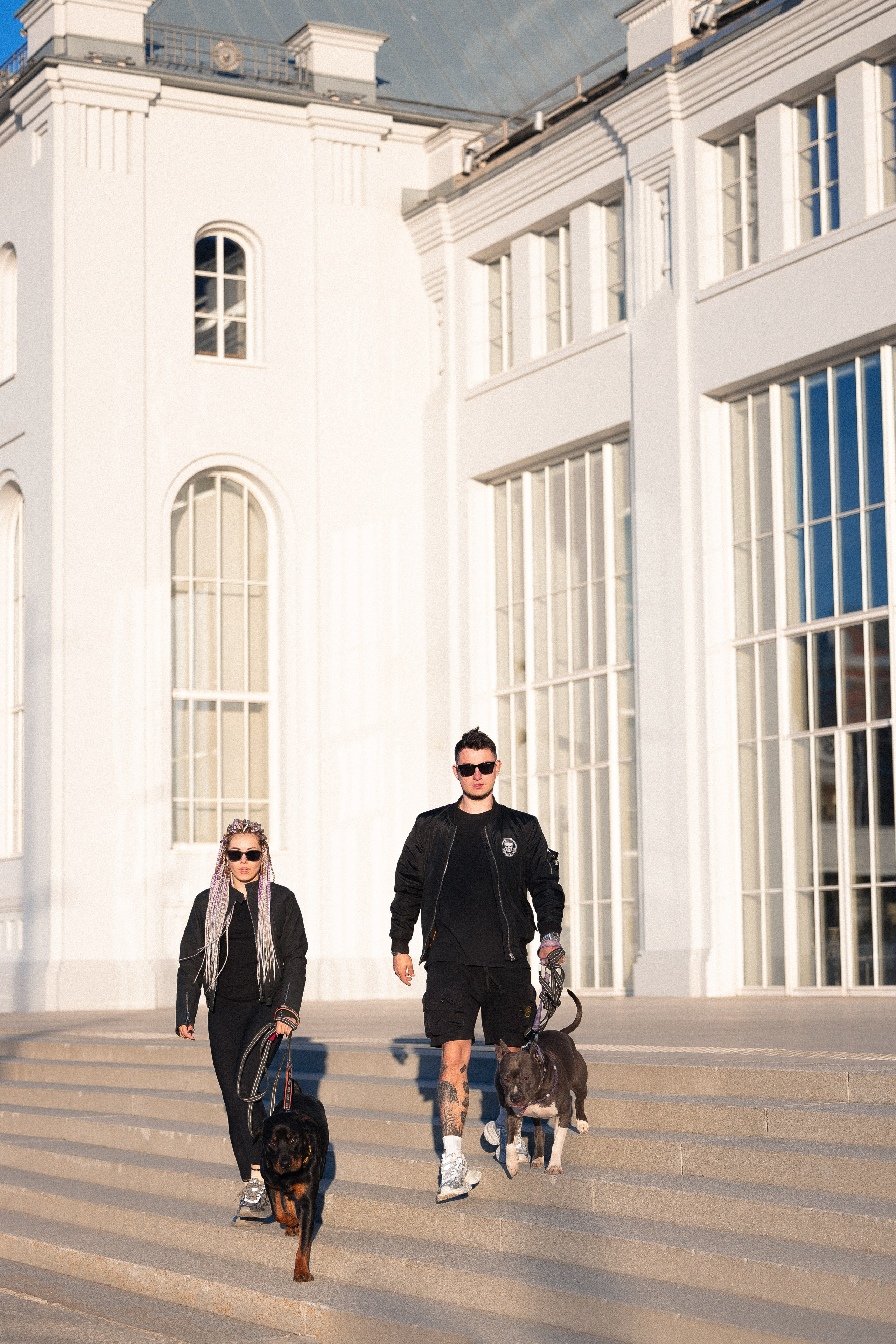 Катя, Леша, Трой и Лея. Фотограф и видеограф анималист Аганина Дарья