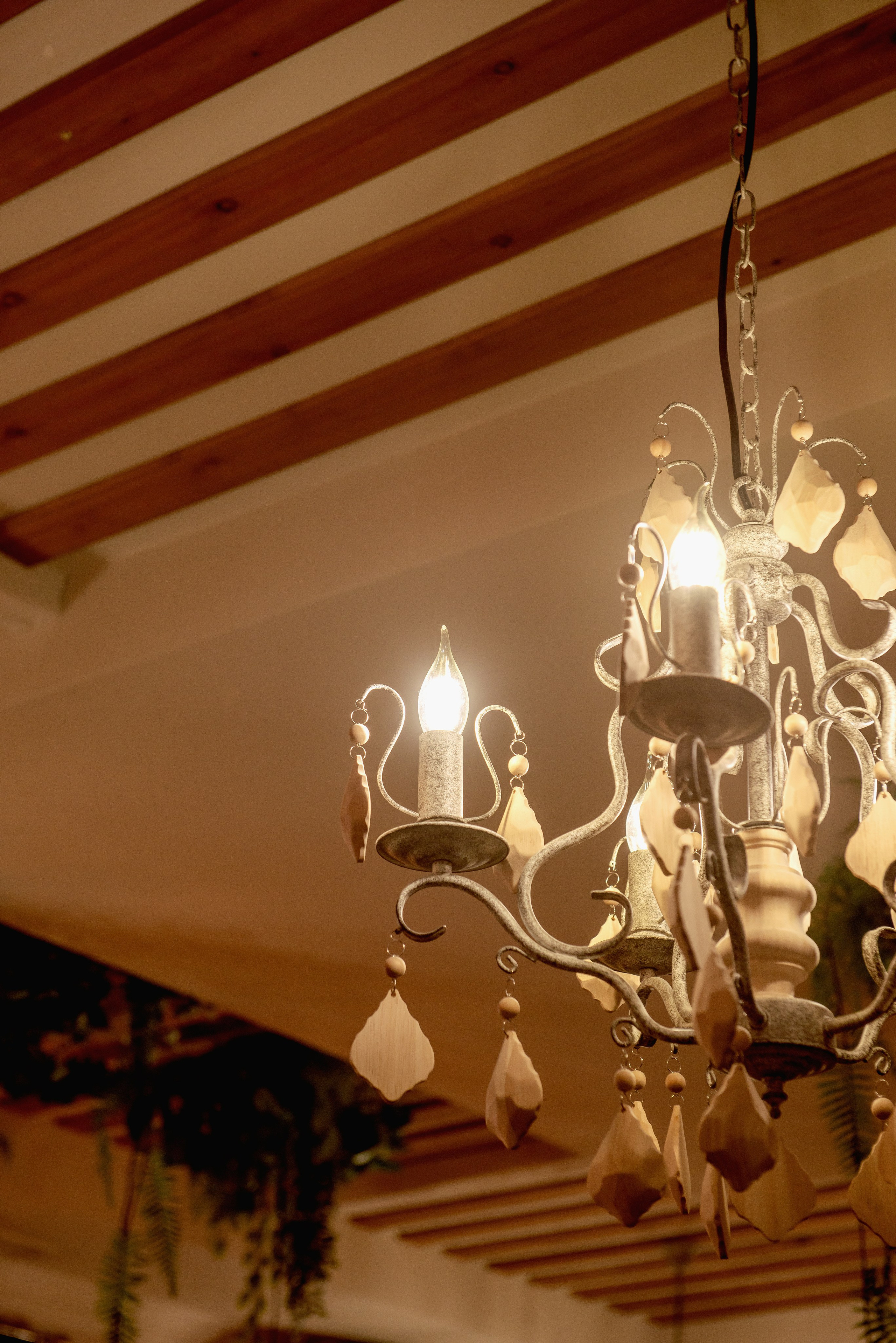 День Рождения Светланы. Семейный фотограф в Новочеркасске Виктория Громова