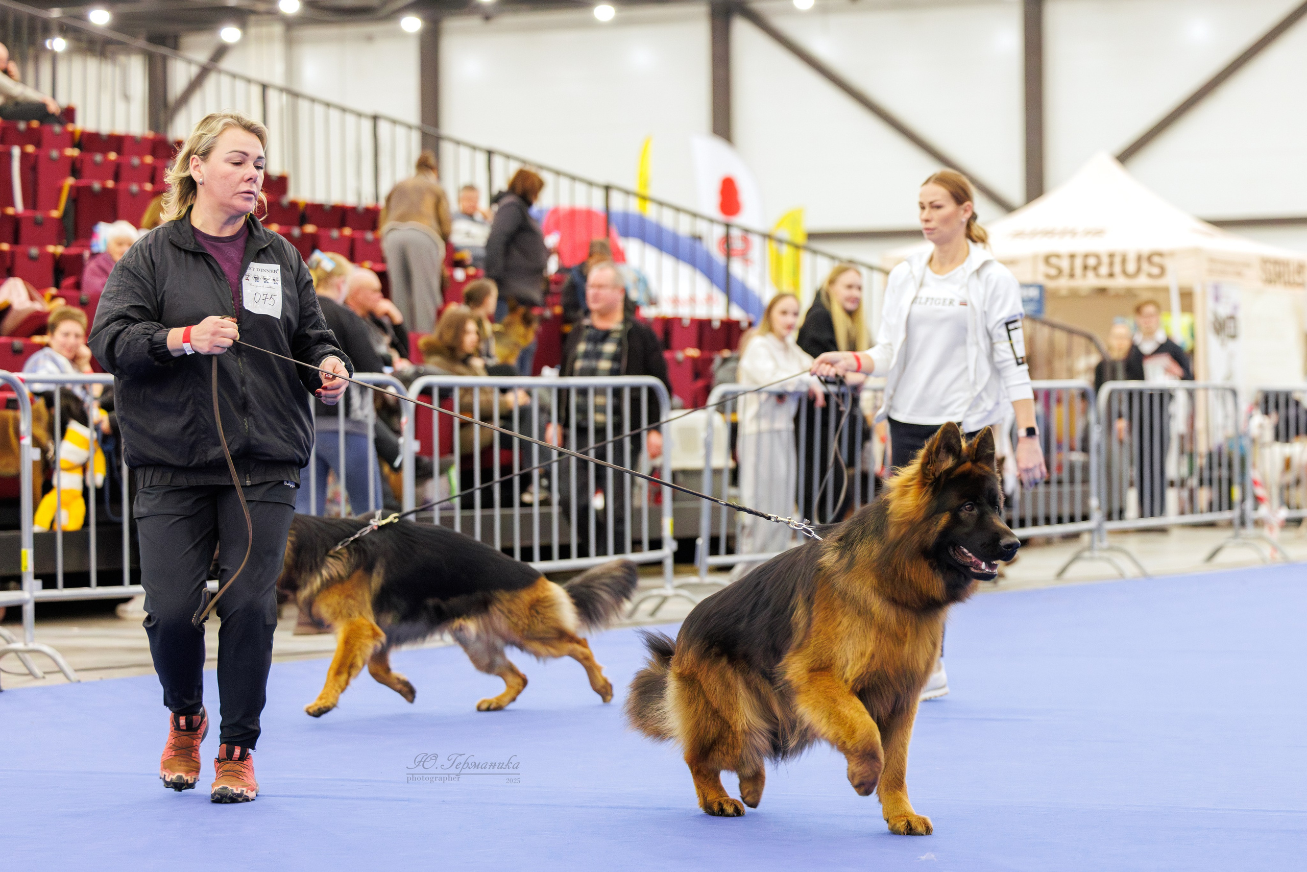 Питер 12-13.12.2025. Фотограф-анималист Юлия Германика