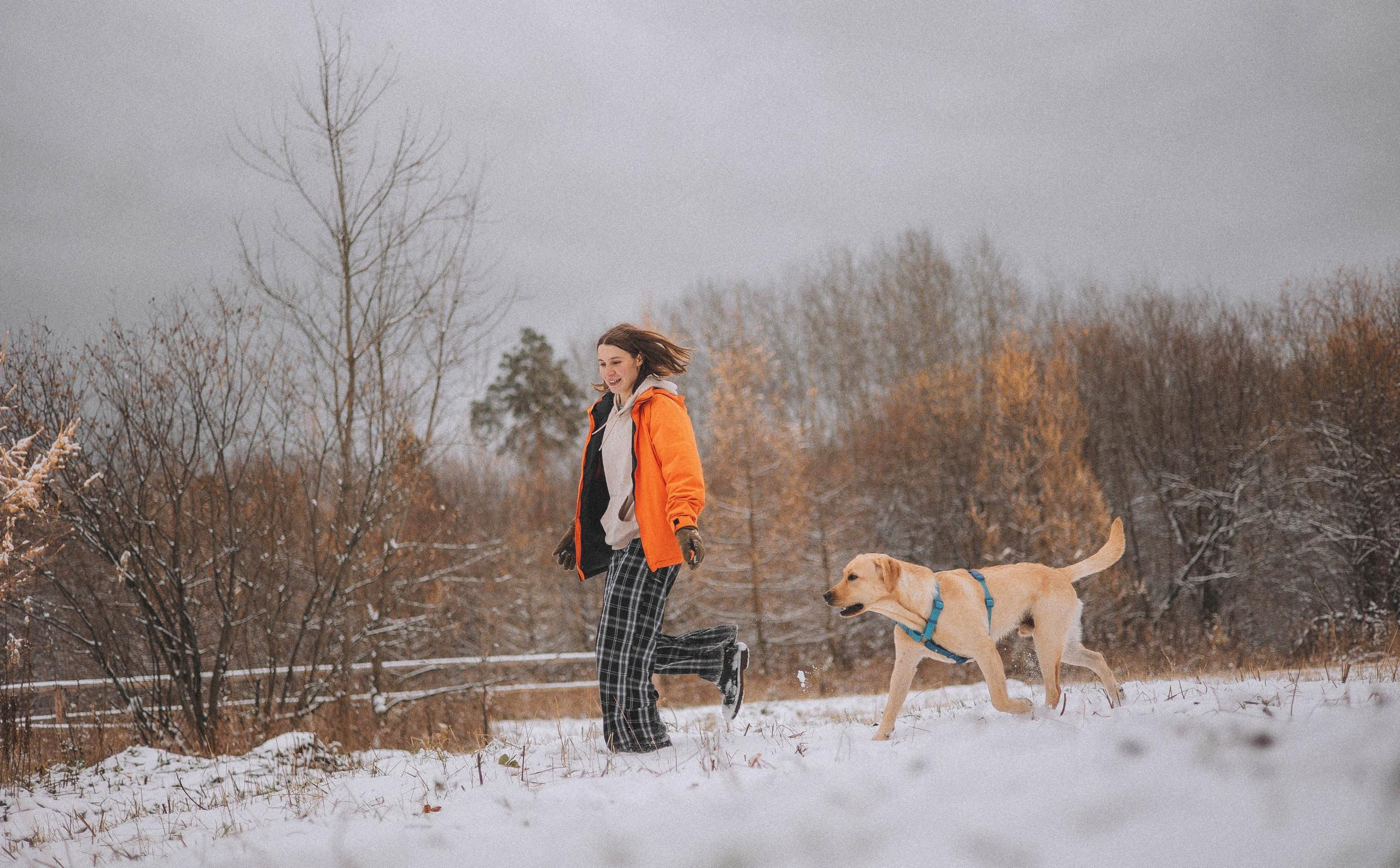 Маргарита и Варди. Фотограф-анималист Богданова Полина