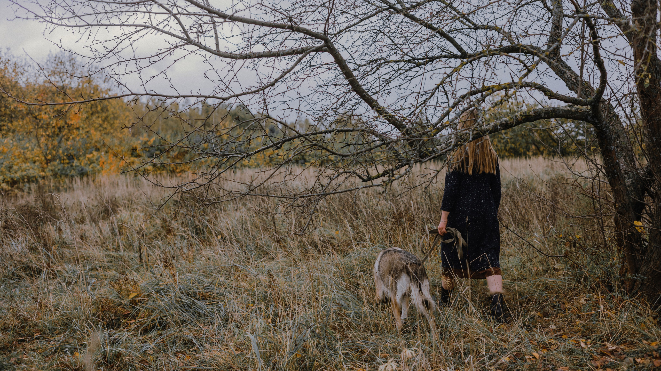 Полина и Вегард. Фотограф-анималист Богданова Полина