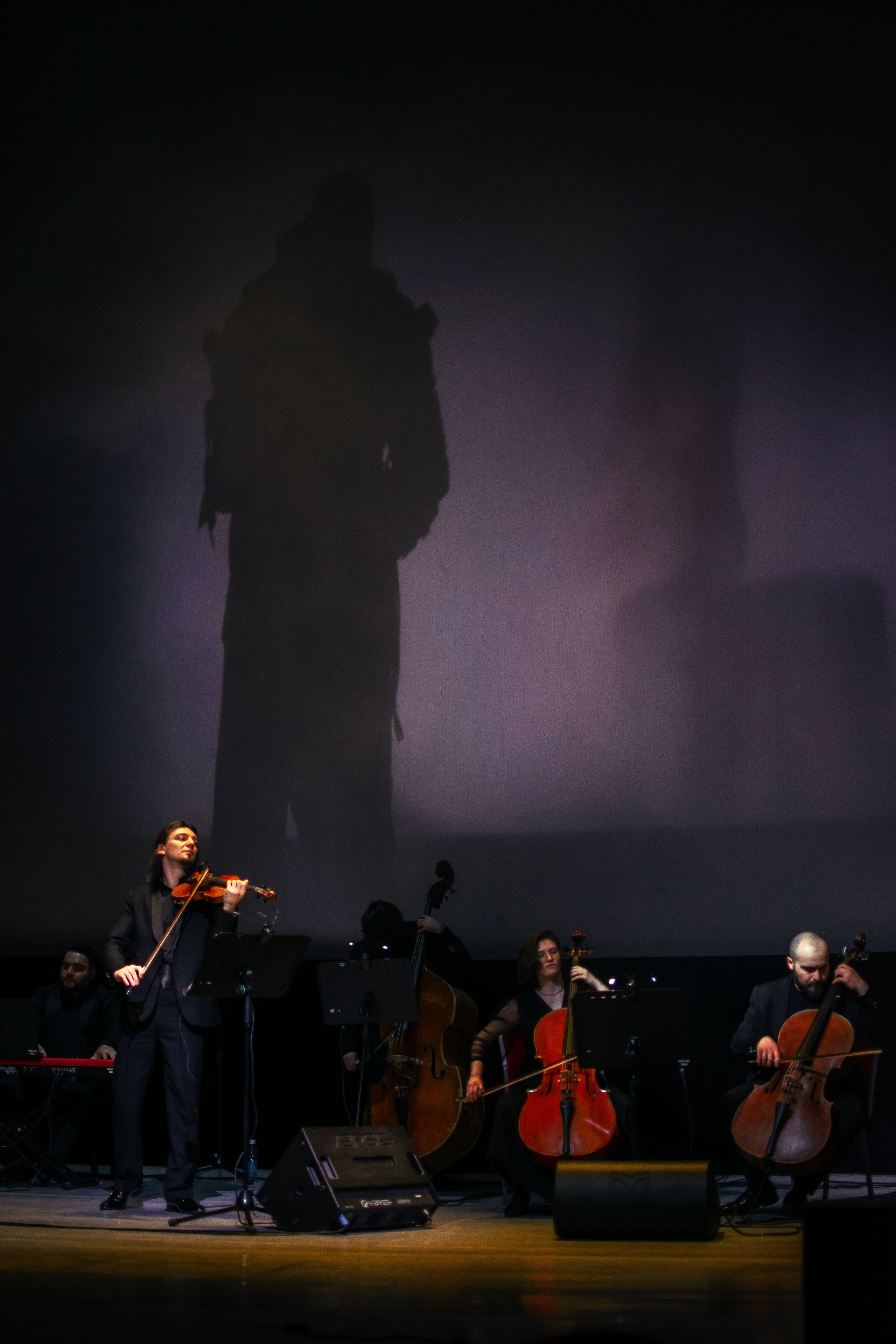 Концерт оркестра Cinematica. Репортажный фотограф в Новосибирске