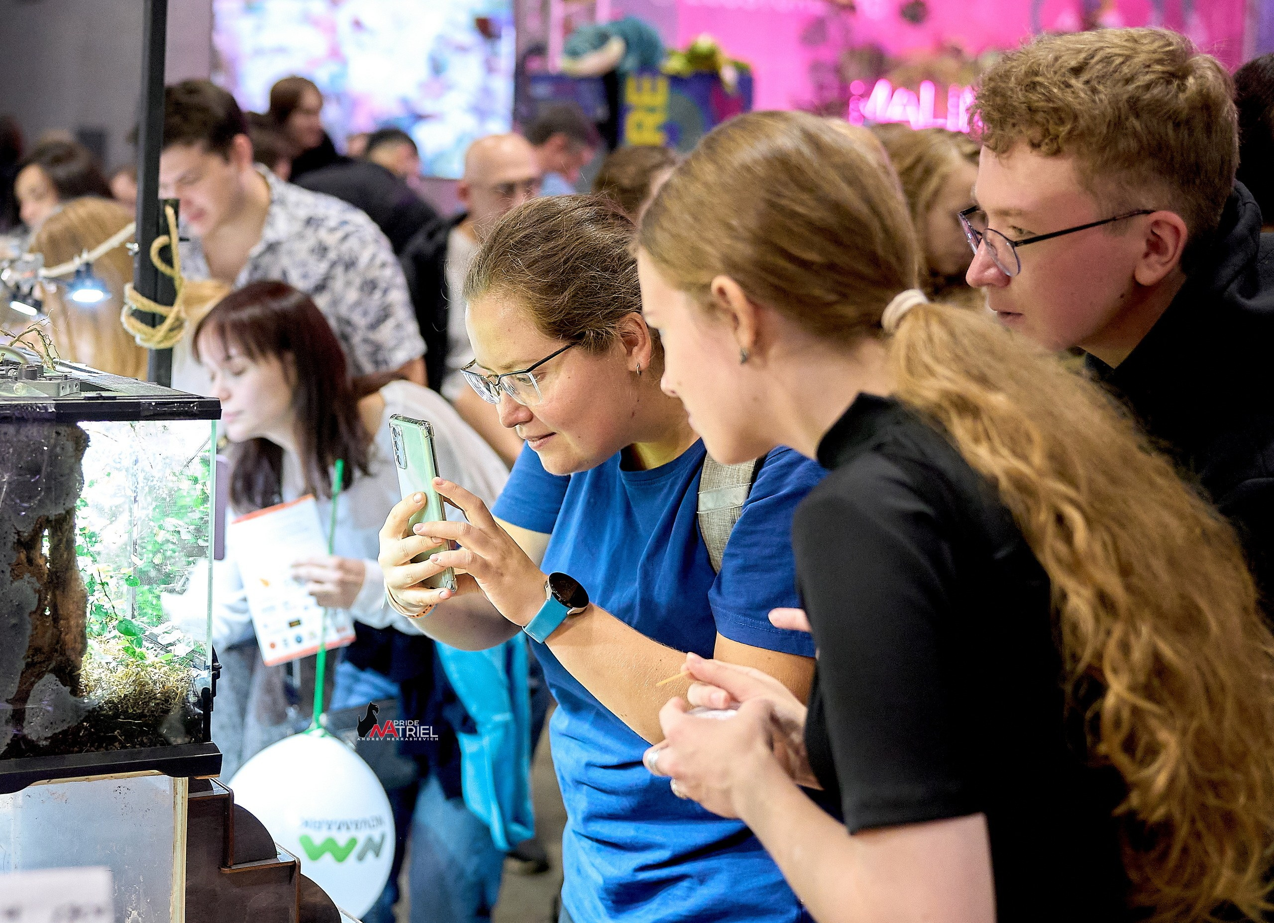 Выставки животных — галерея NATRIEL