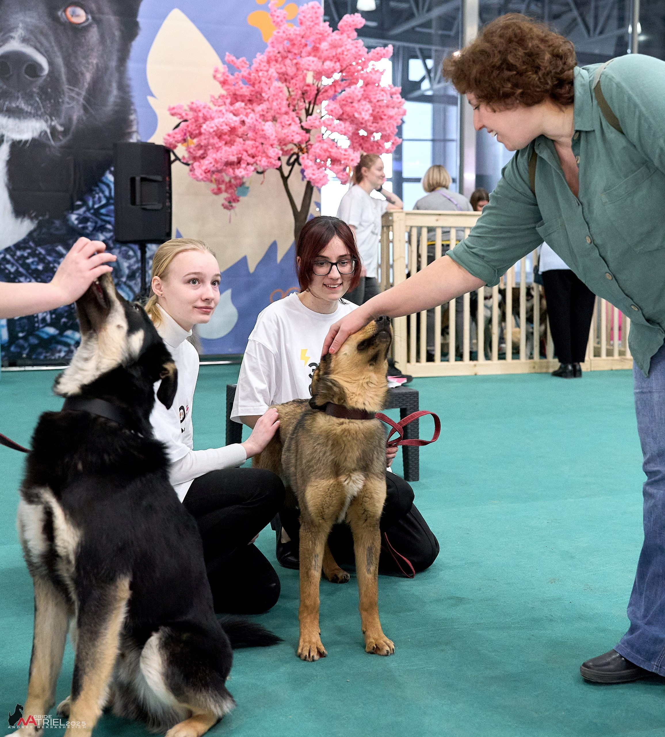 Репортаж с ЗООФЕСТ в Крокусе