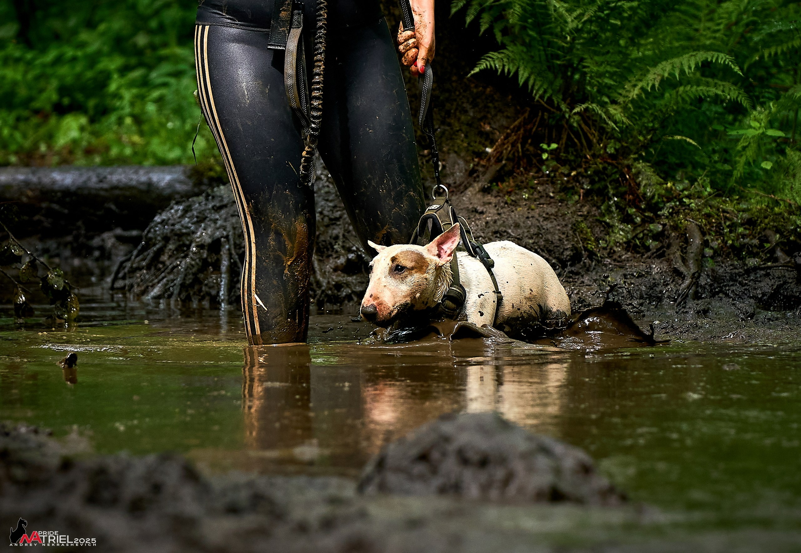 Russian Extreme Dog Trail — 2025