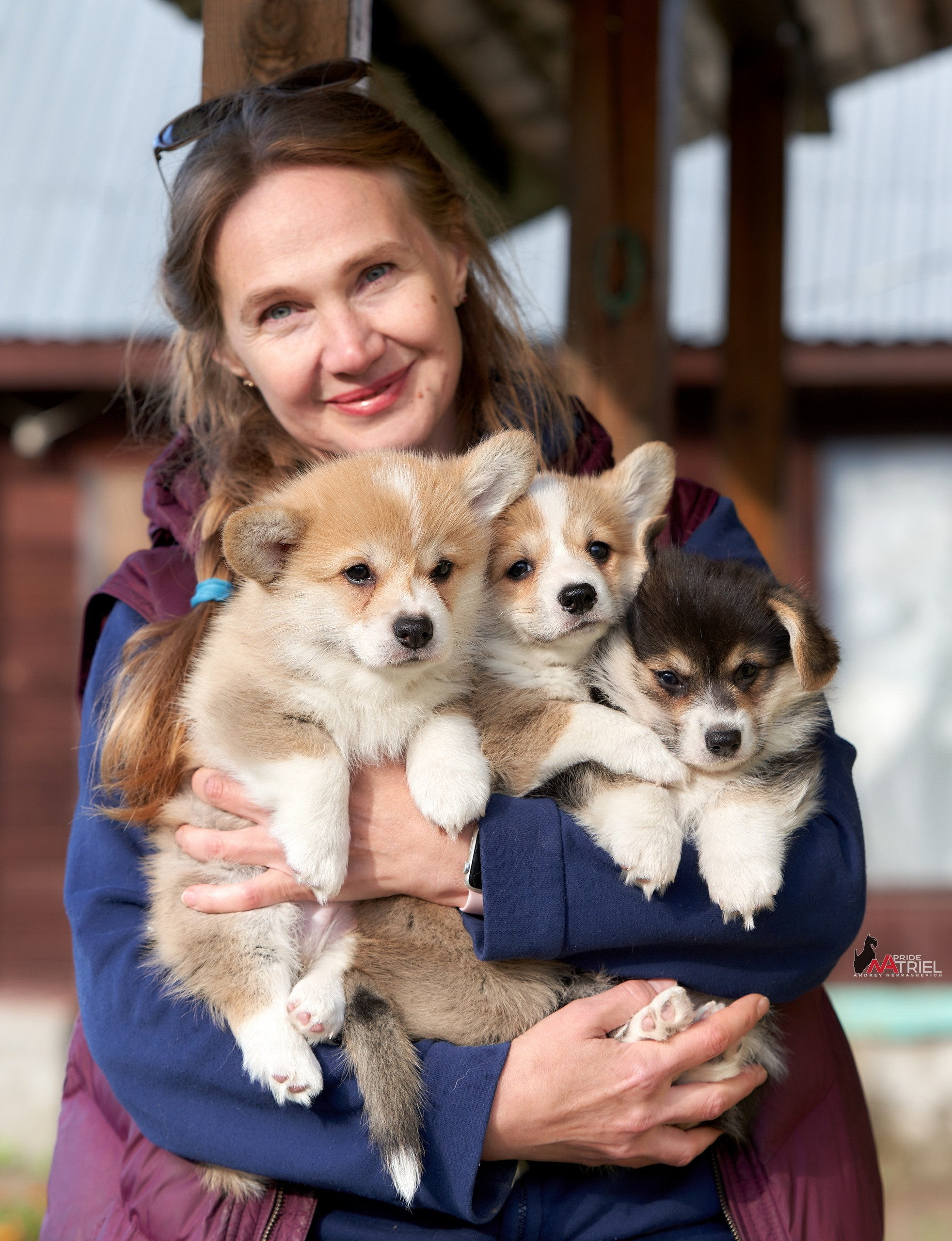 Щенки с людьми — галерея NATRIEL