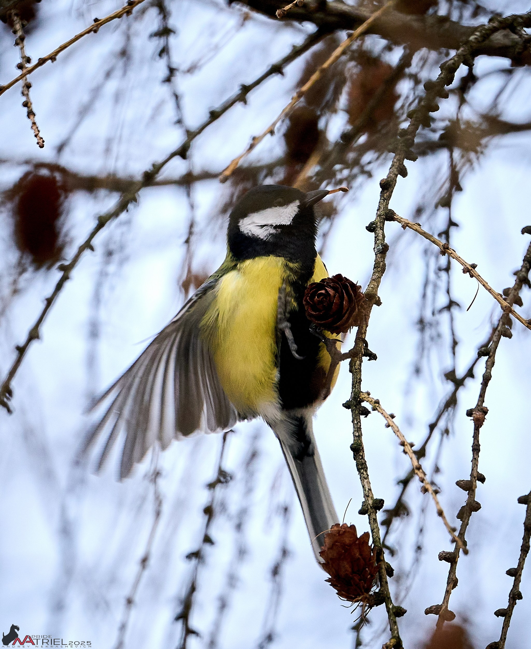 Фотопрогулка "вокруг дома"