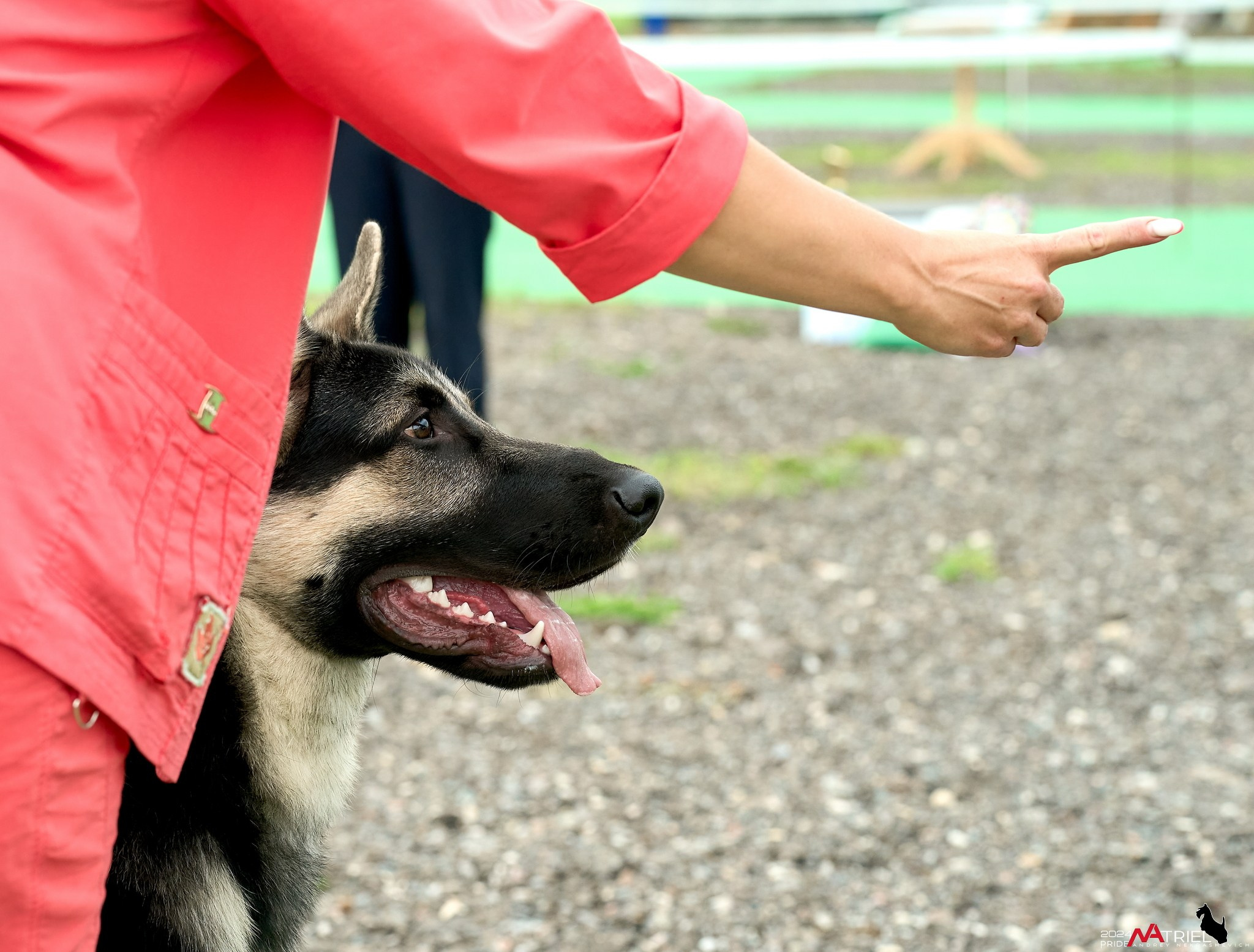 Съемка на выставке в Пёсик-Хаус