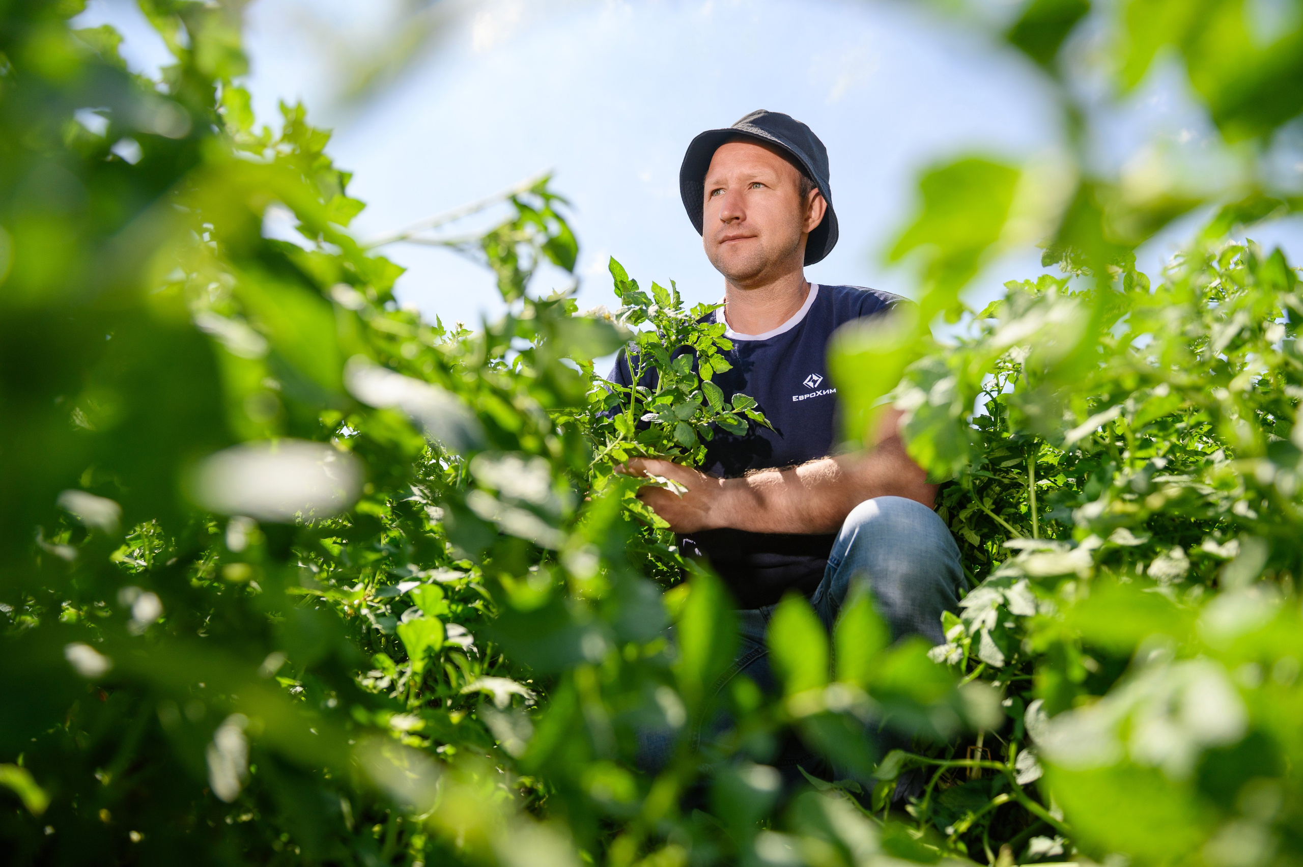 Проекты. Профессиональный фотограф Вячеслав Плацында | Липецк |