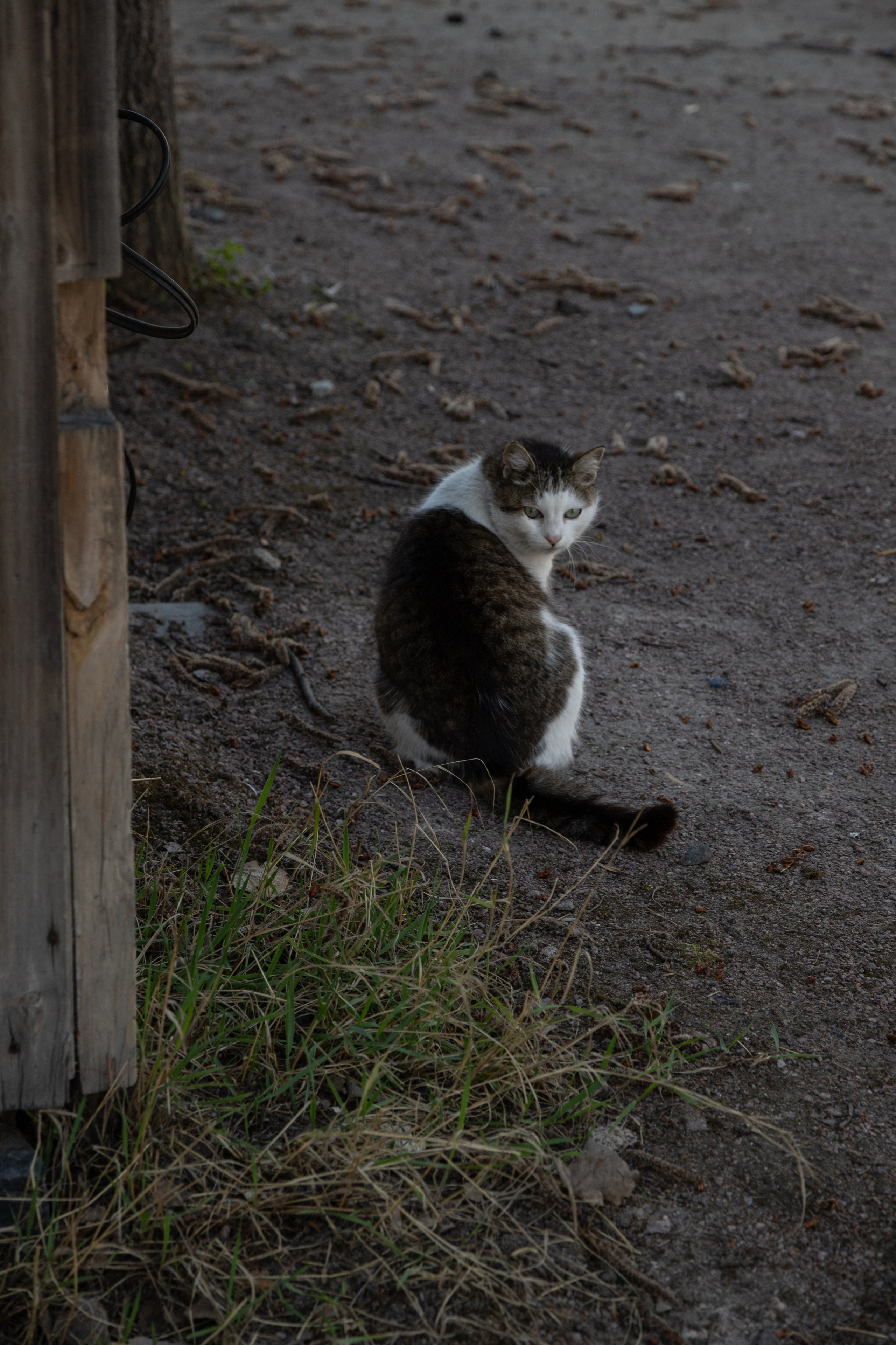 Сортавала. Интерьерный и архитектурный фотограф Солодова Алина