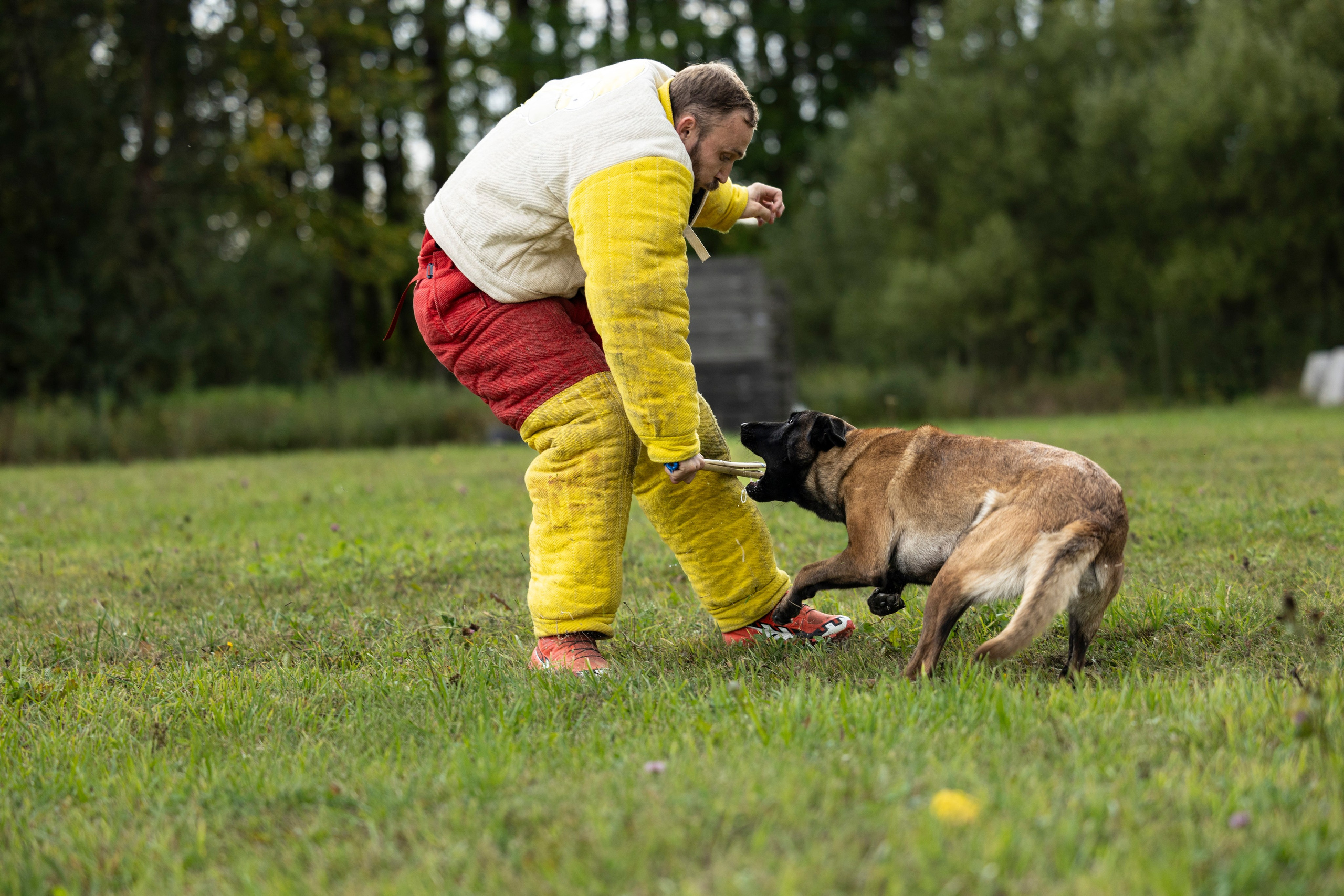 Испытания по Мондьорингу г. Пушкин. Фотограф-анималист Анна Маринич
