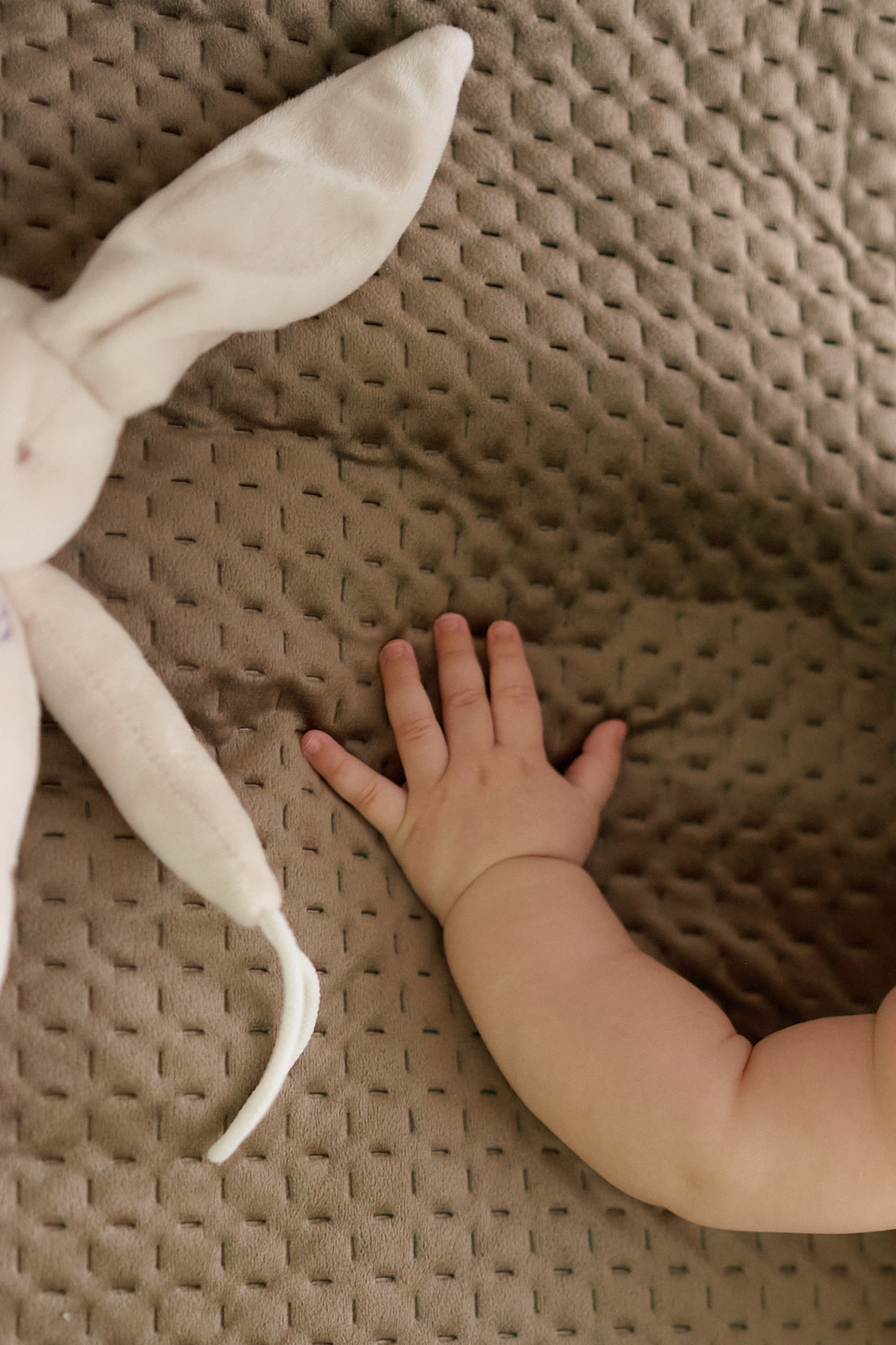 Адаму полгода (домашнее). Семейный и свадебный lifestyle-фотограф в Москве Мария Петрова