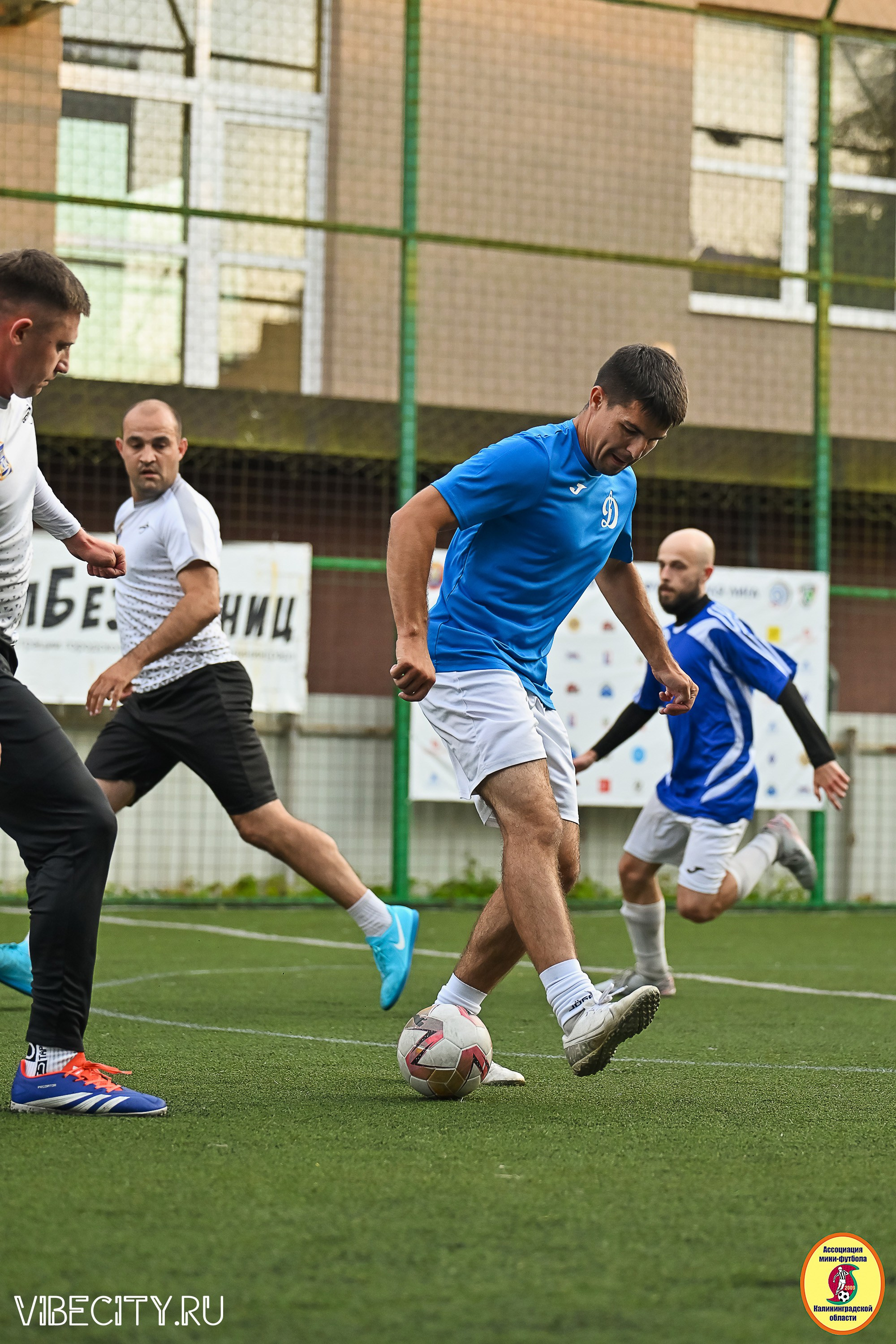 ИГРЫ ПЛЕЙ-ОФФ ПЕРВОГО ДИВИЗИОНА МИНИ-ФУТБОЛЬНОЙ ЛИГИ. VIBECITY.RU Вайб Сити Ру Фоторепортажи Фотоотчеты Калининград