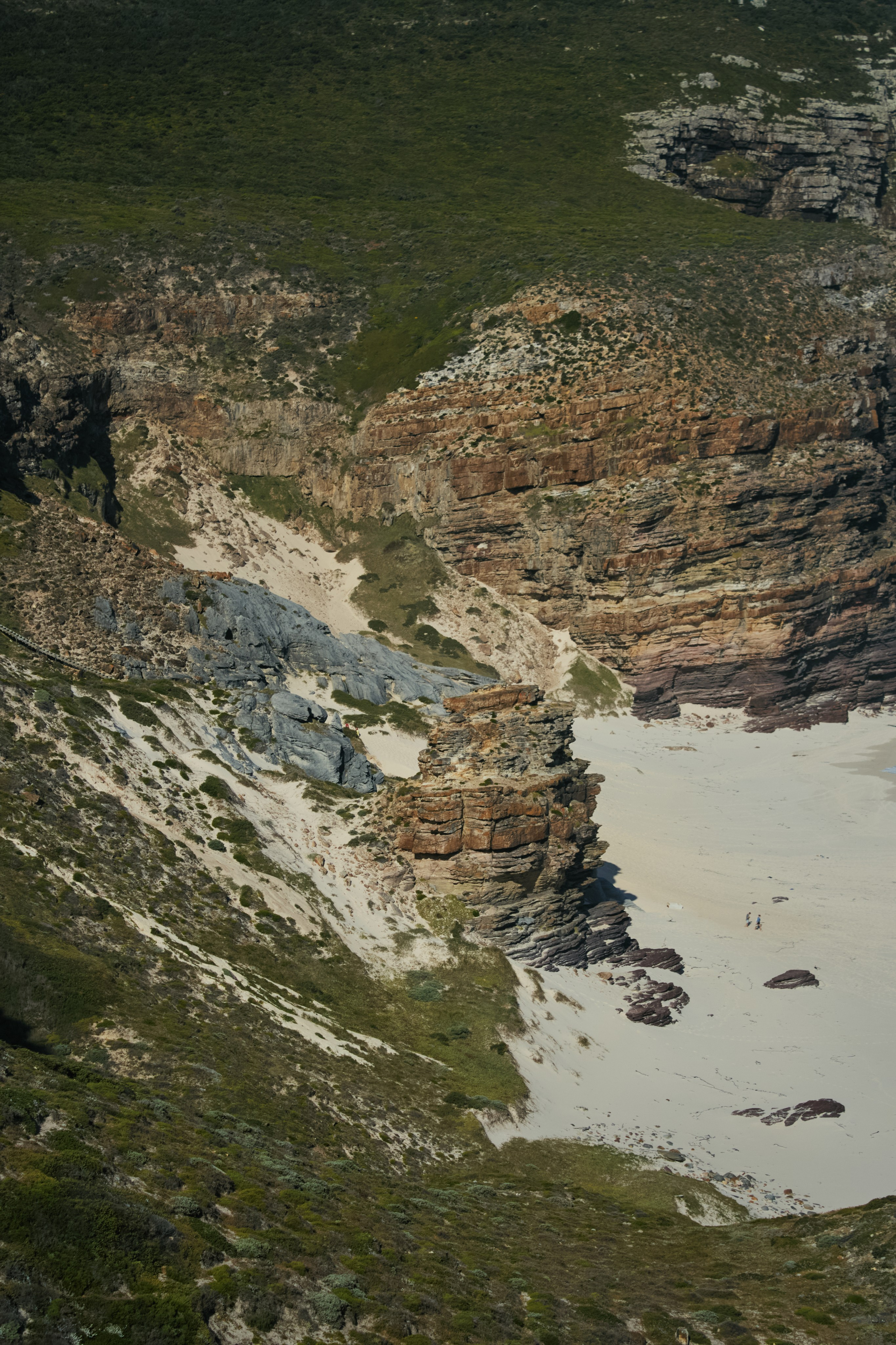 ЮАР. Профессиональный Фотограф во Владимире, в Москве и в Суздале — Полина Романычева