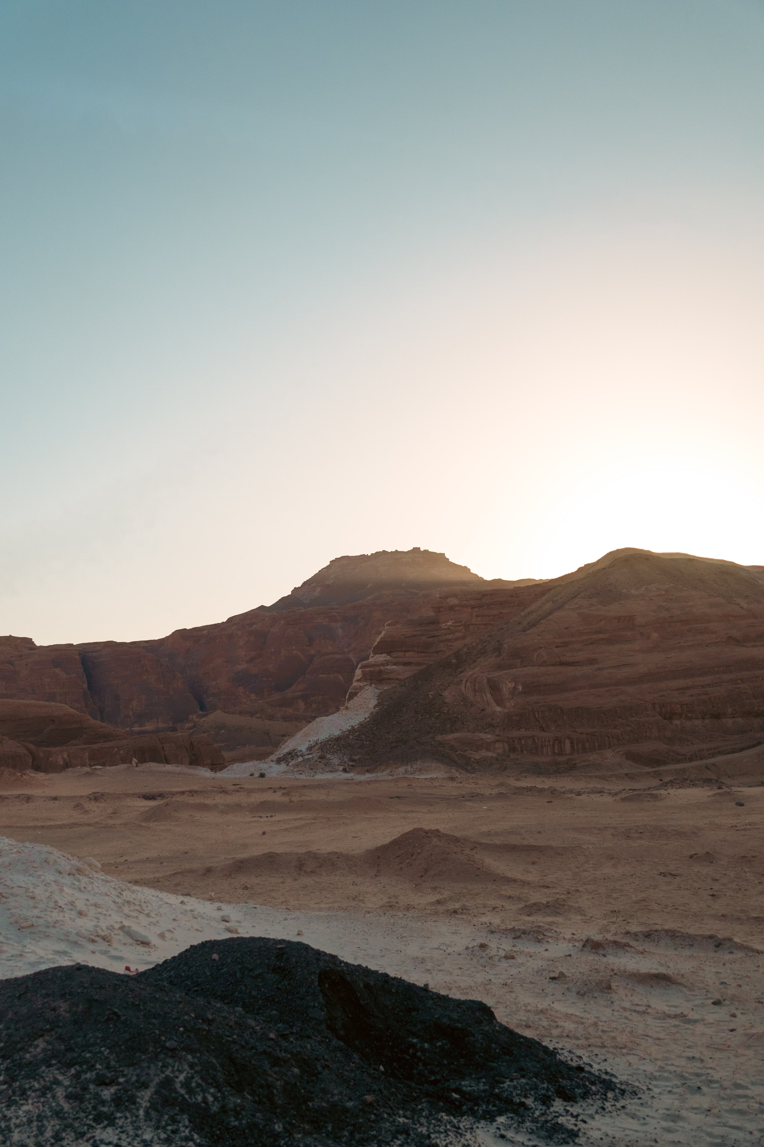 Природа. Фотограф в Санкт-Петербурге Ибрагимова Алина