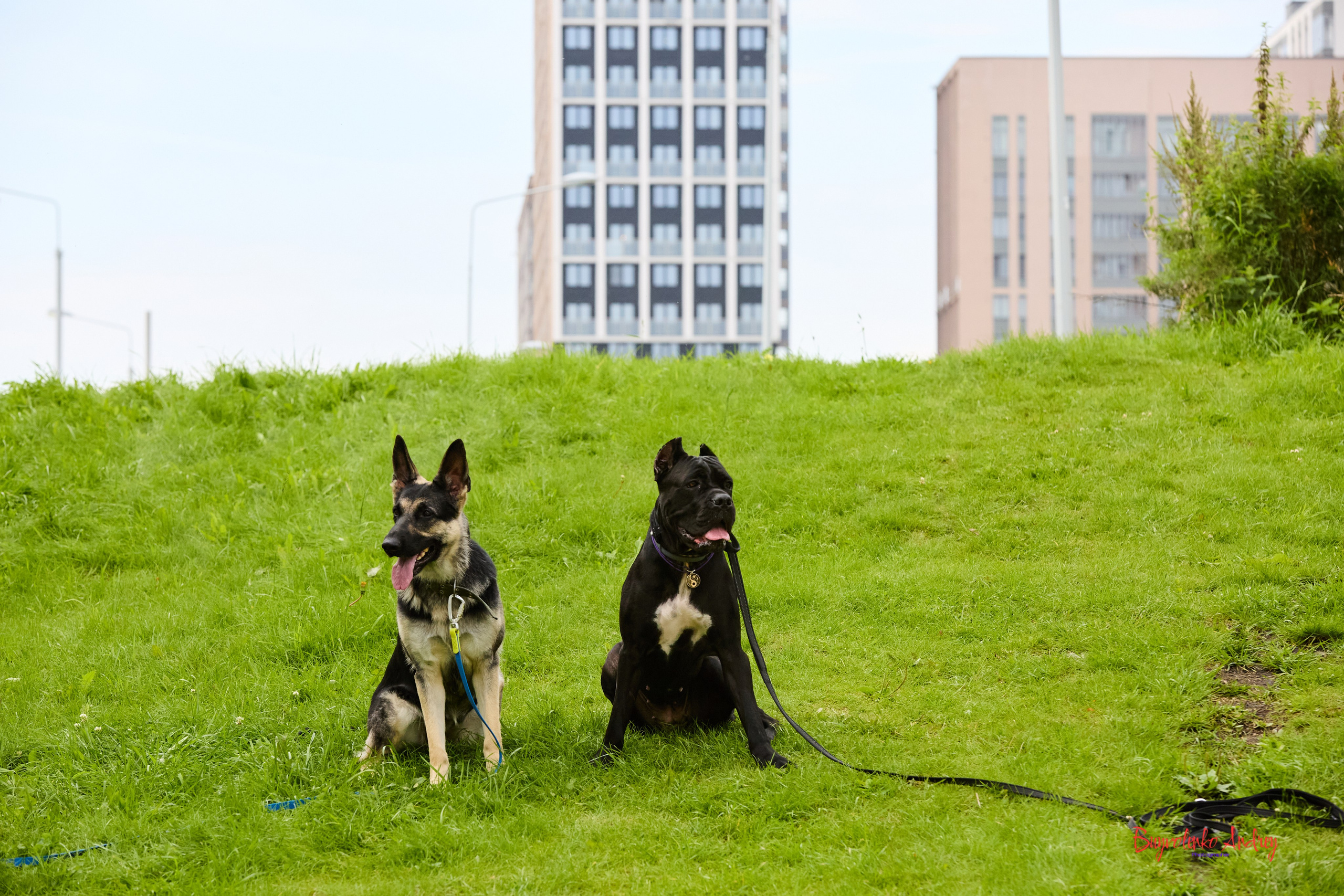 Проект фотопрогулка с хвостиком. Buyvolenko Andrey