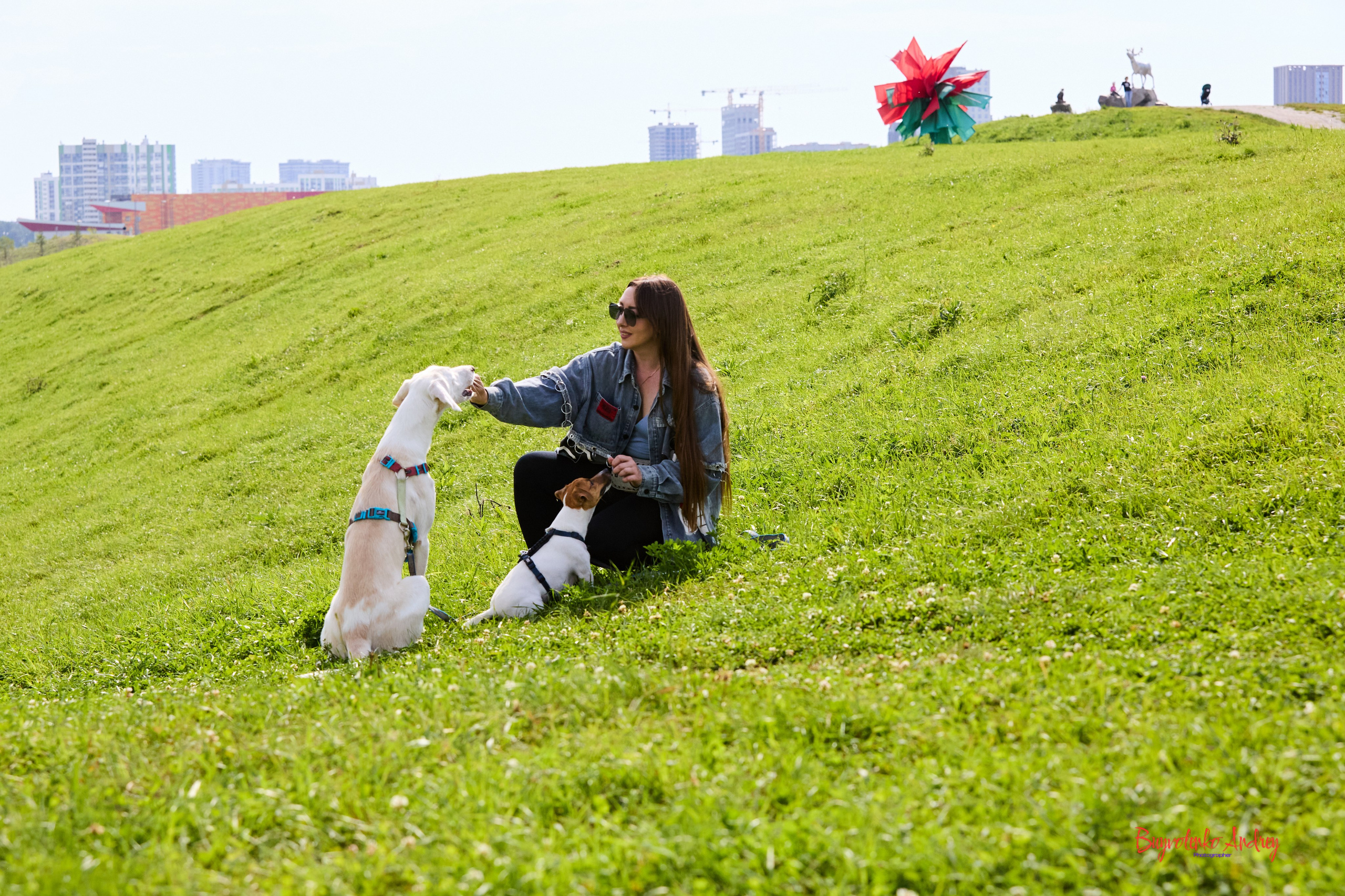 Проект фотопрогулка с хвостиком. Buyvolenko Andrey