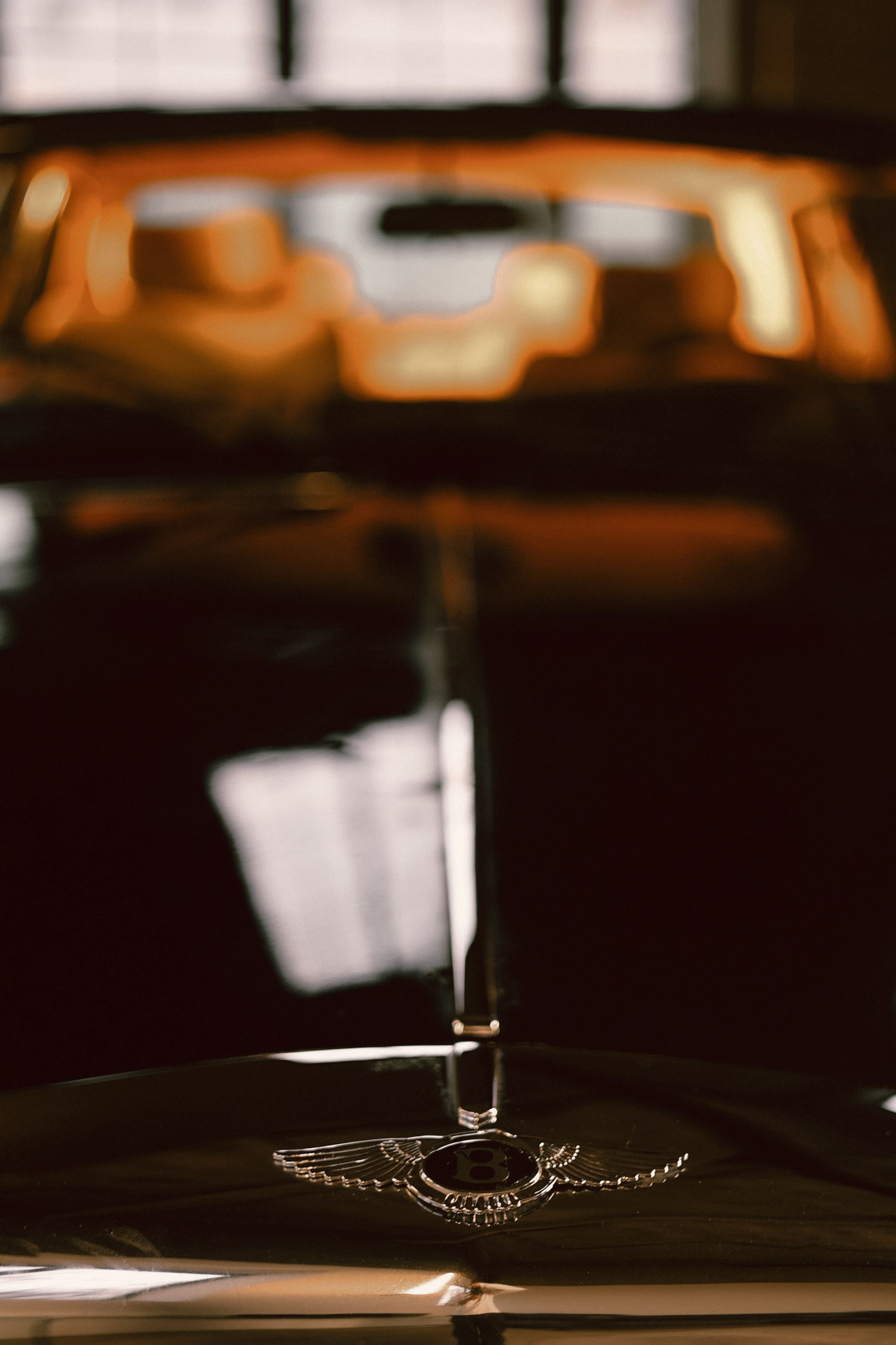 Nina. Фотограф Popova Polina