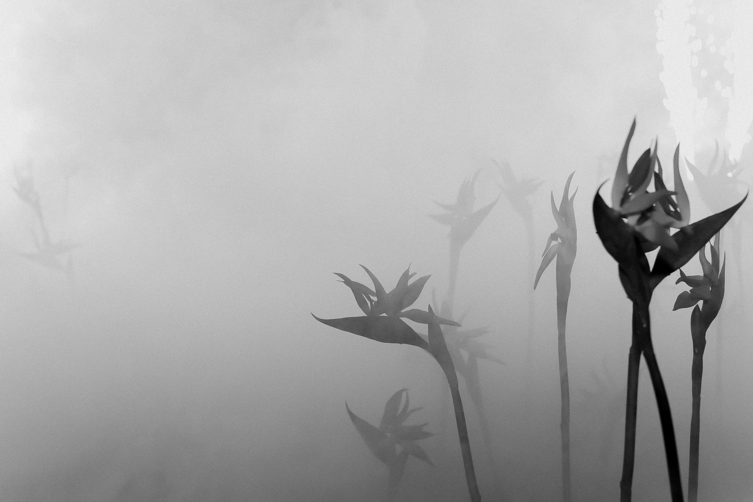 Петр и Екатерина