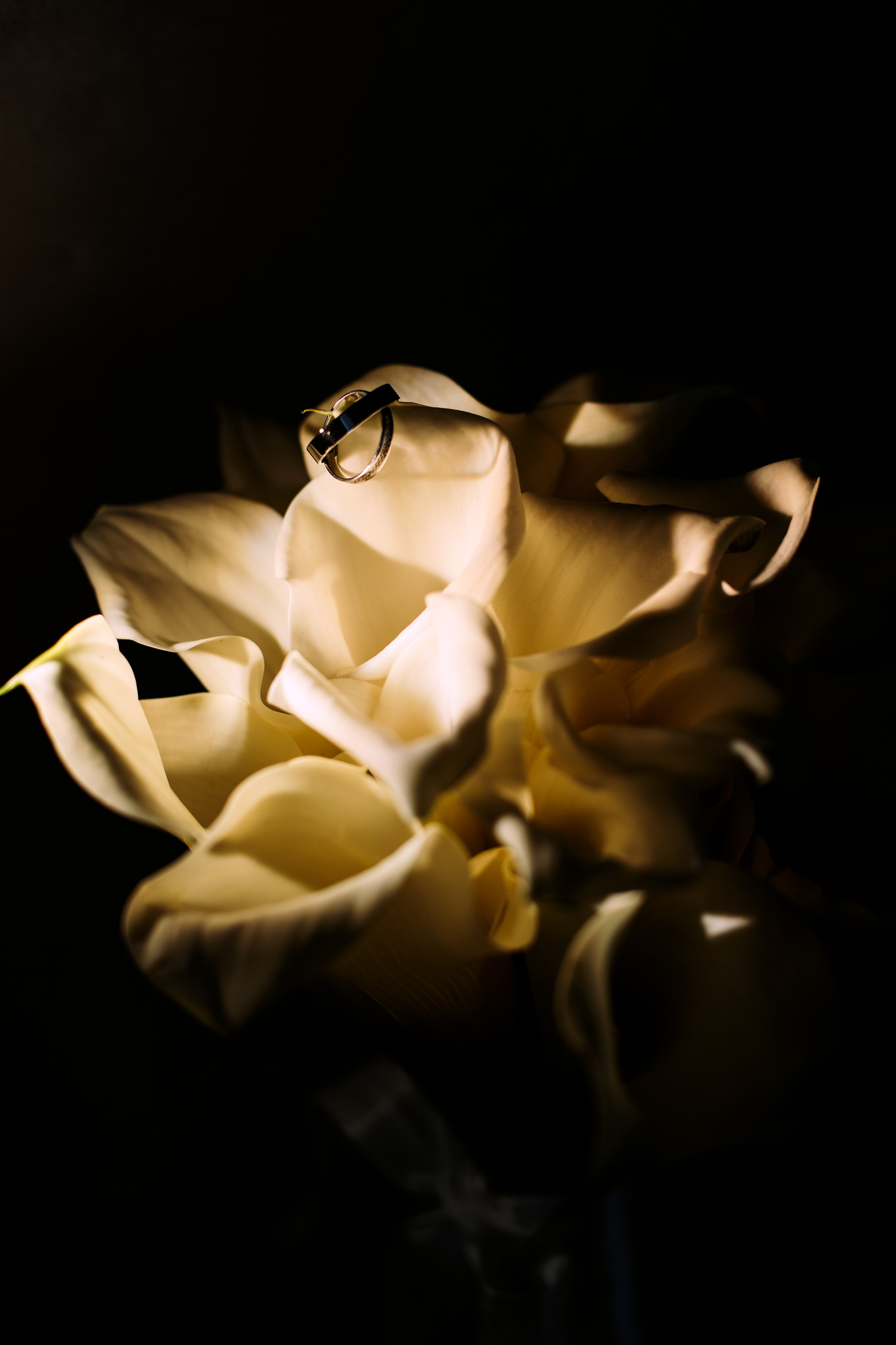 Лиза и Дима. Свадебный и семейный фотограф Екатеринбург Настя Саедгалина