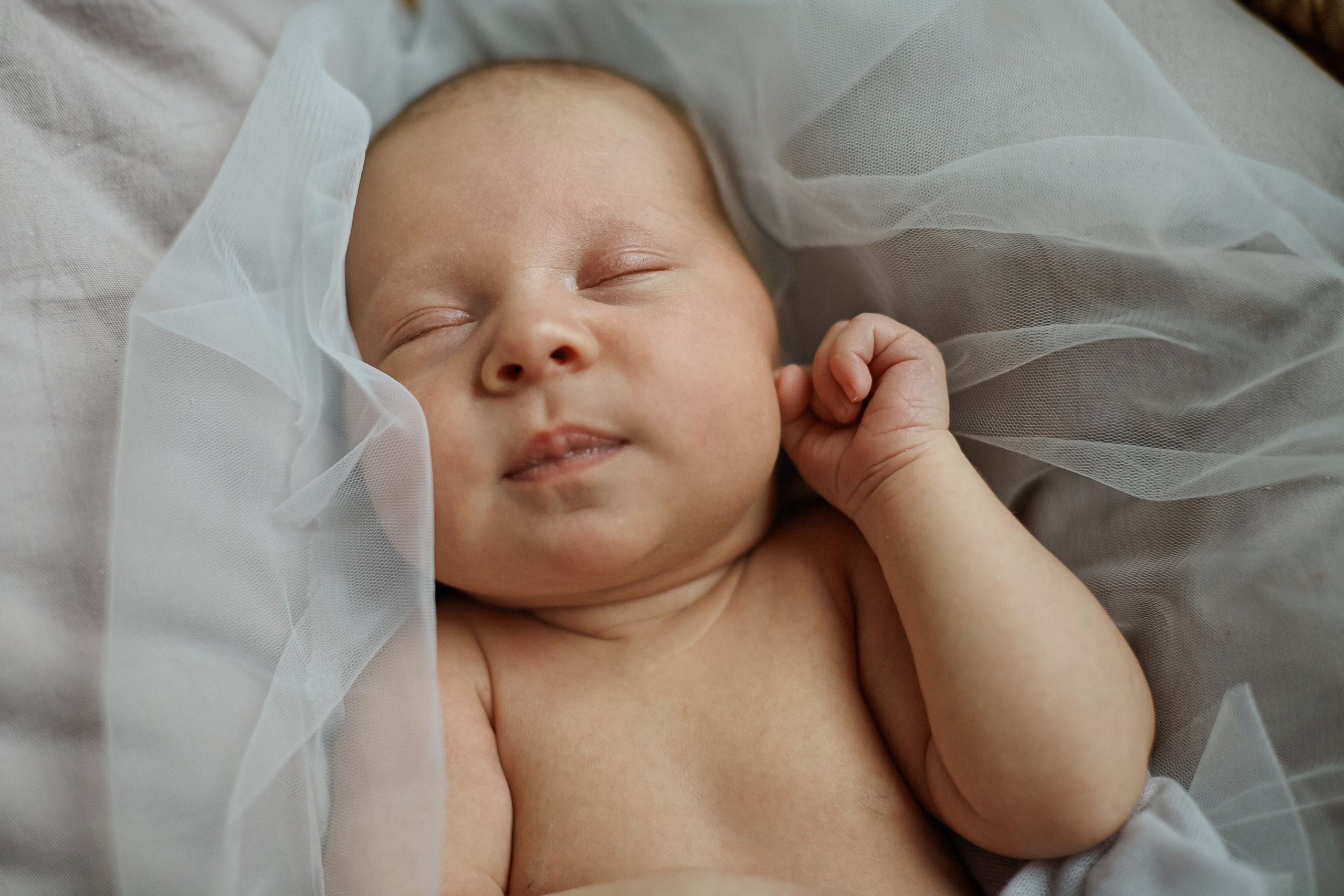 Есения. Фотограф Ольга Ефремова