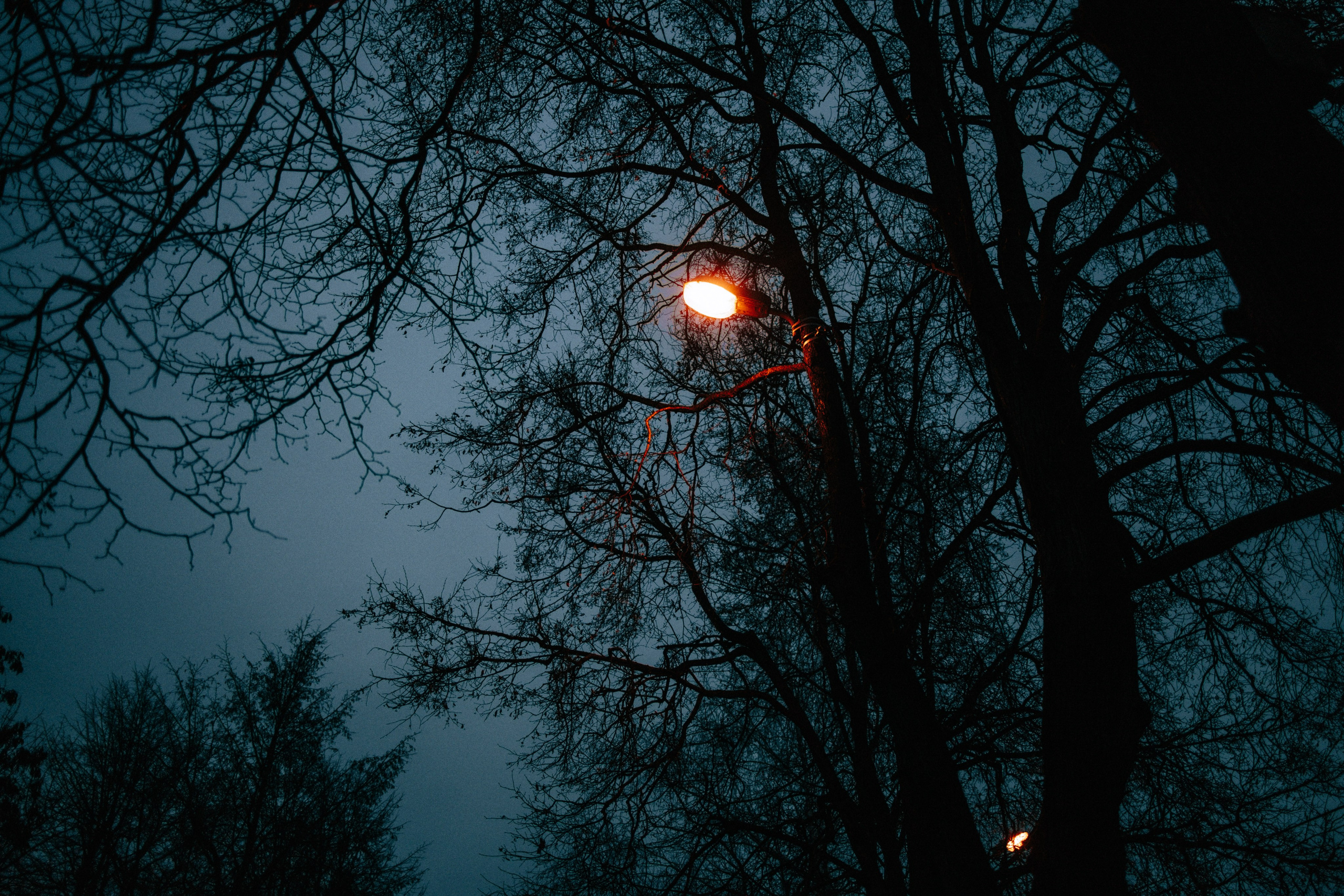 Вечерний ноябрь. Свадебный и семейный фотограф в Туле и области Маша Костина