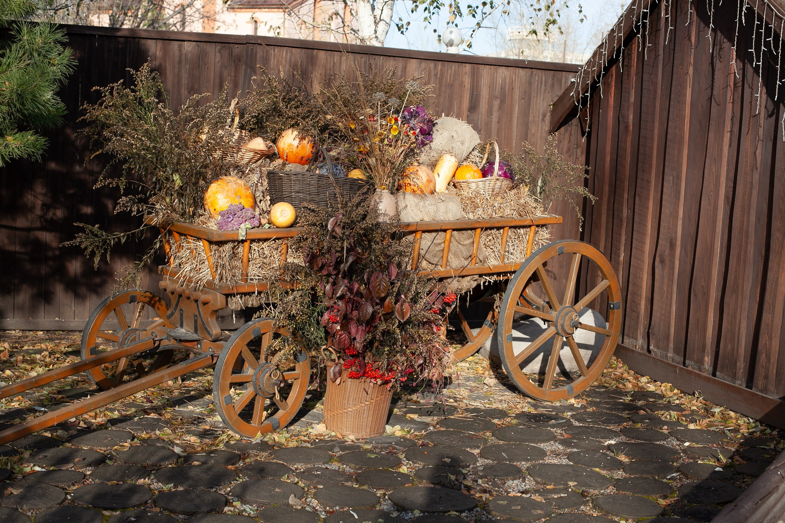Сады Мечты. Контент для сайта. Фотограф Дарья Локотко в Красноярске
