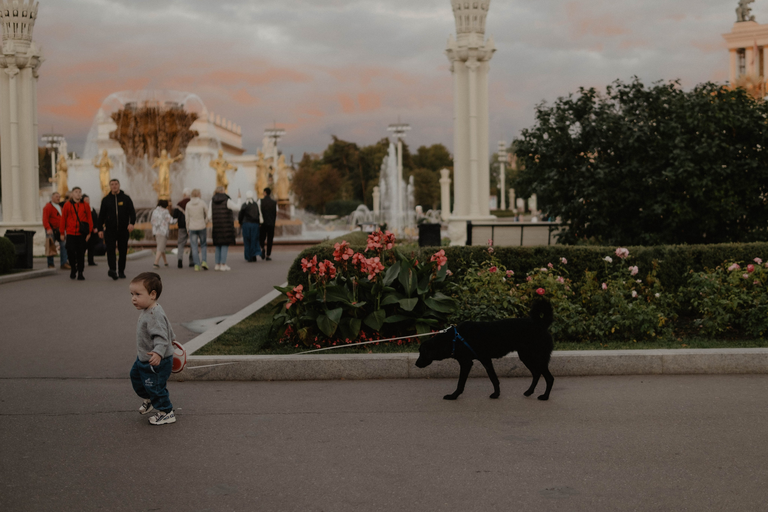 Ксюня, Ваня, Марк и 🐶. Свадебный фотограф Оля Григунова