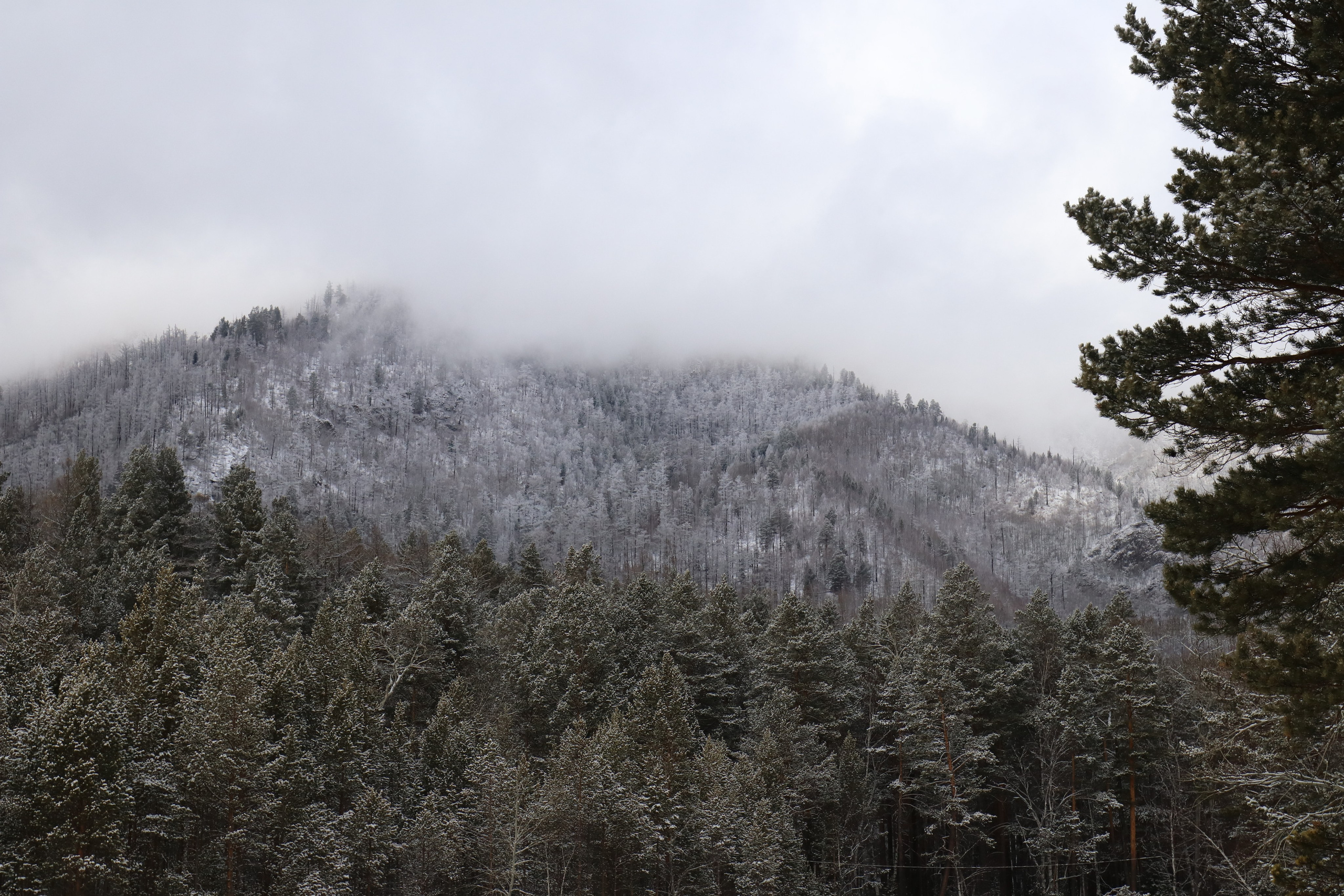 Аршан. Март 2023. Путешественник-фотограф из Санкт-Петербурга Татьяна Свистулина