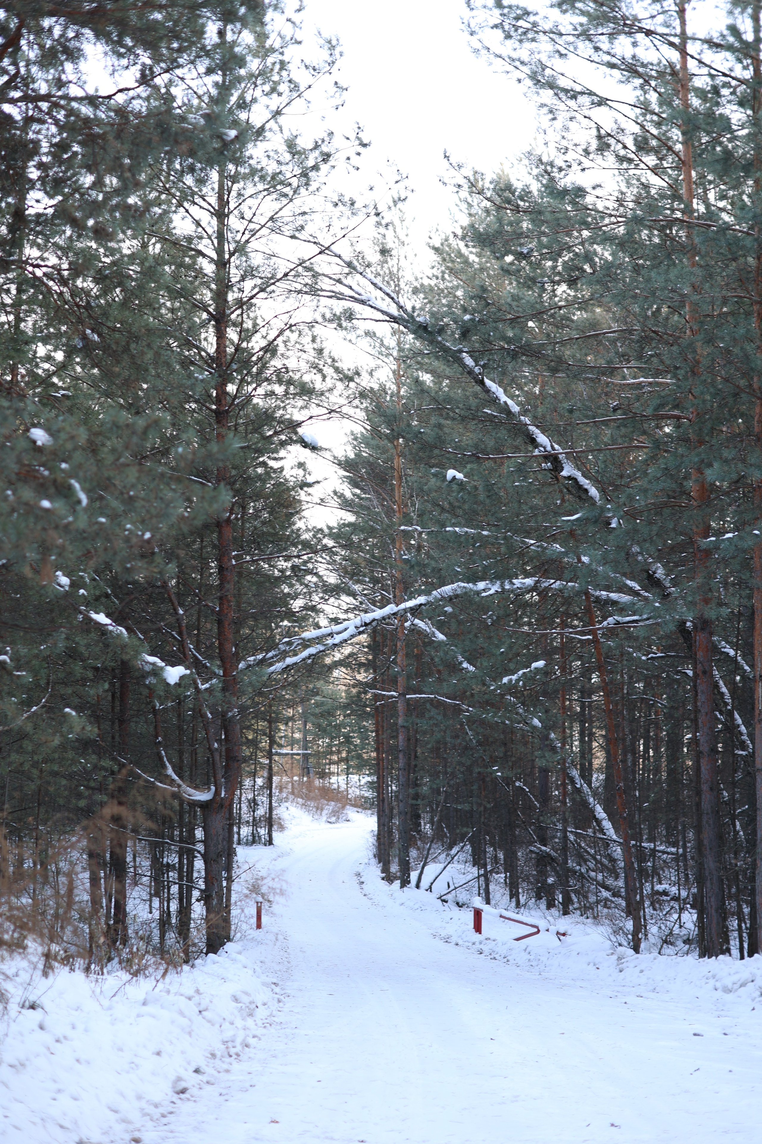 Зима. Art my Pho