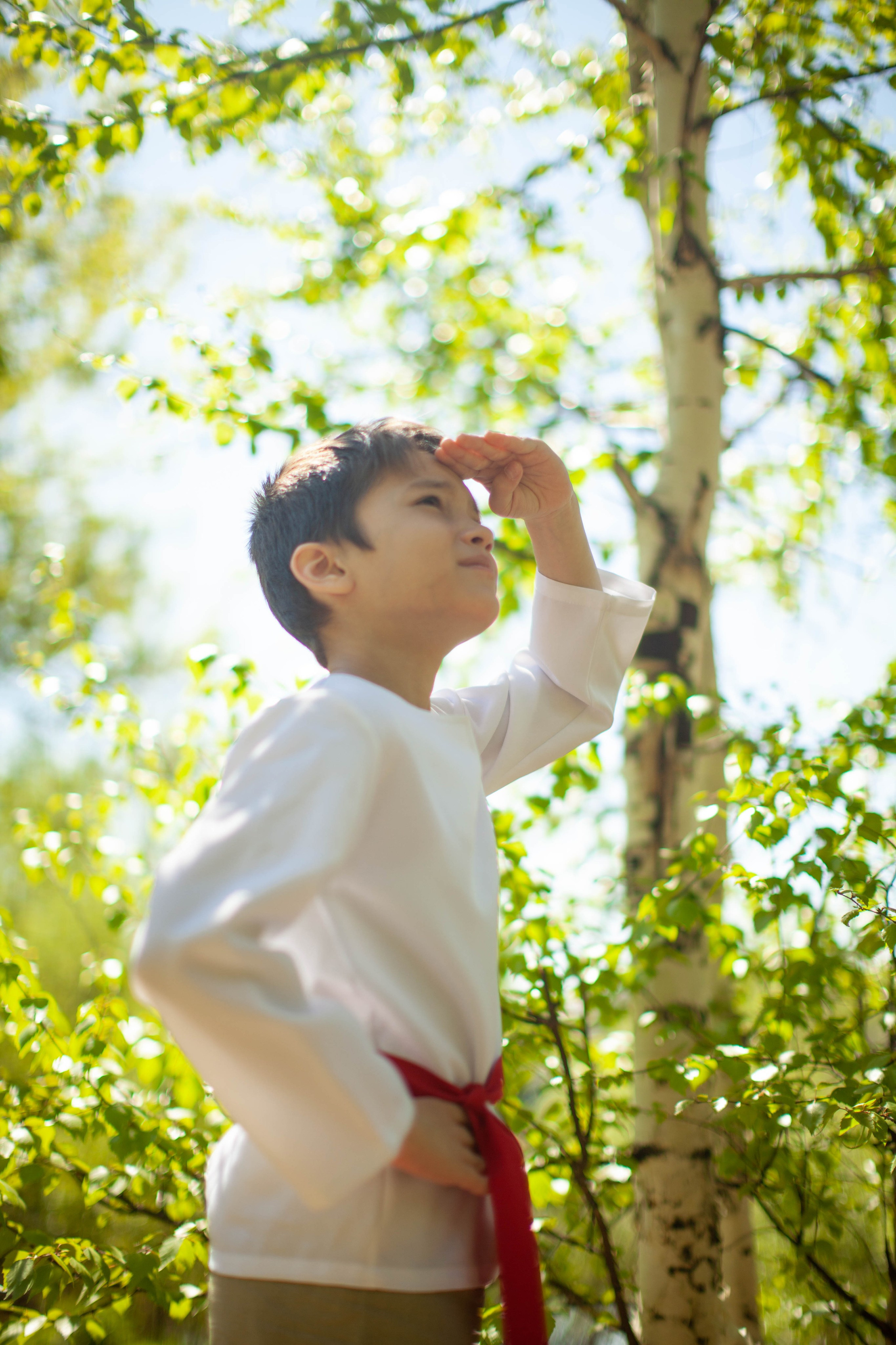 Летний день. Art my Pho