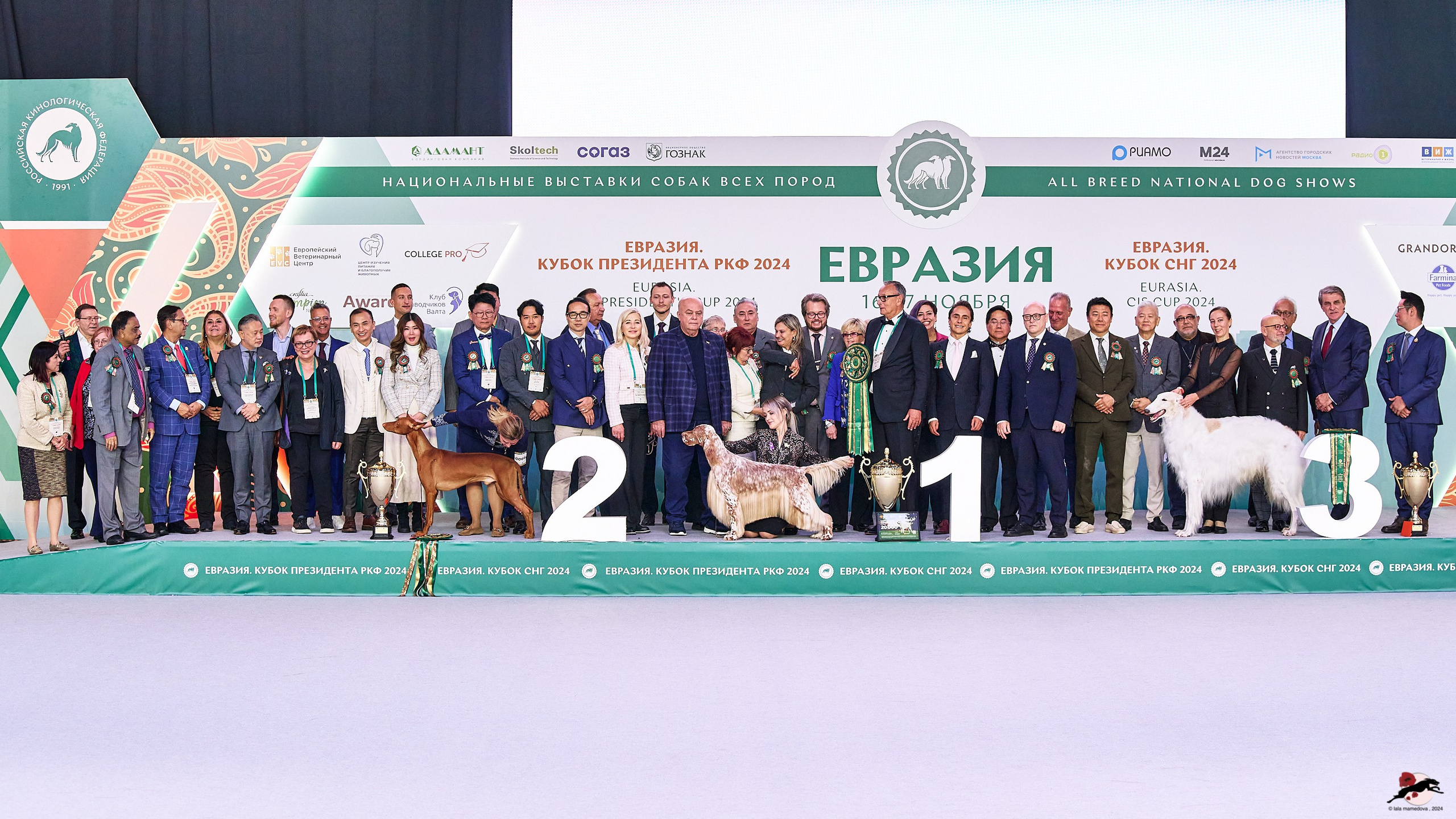 16.11.2024 «ЕВРАЗИЯ. КУБОК ПРЕЗИДЕНТА РКФ 2024»