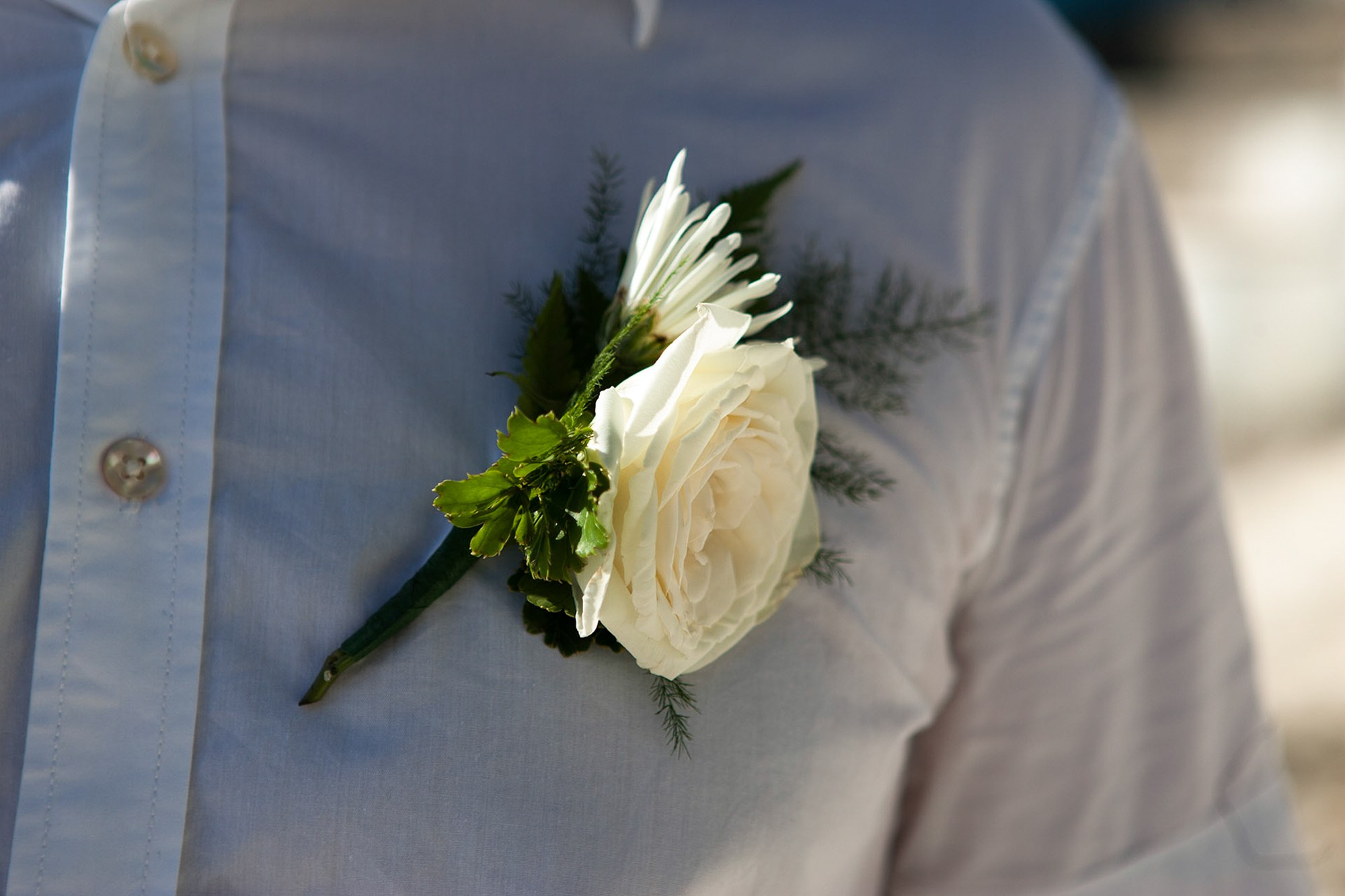 Фото и видео съемка мероприятия. Фото и видеосъемка