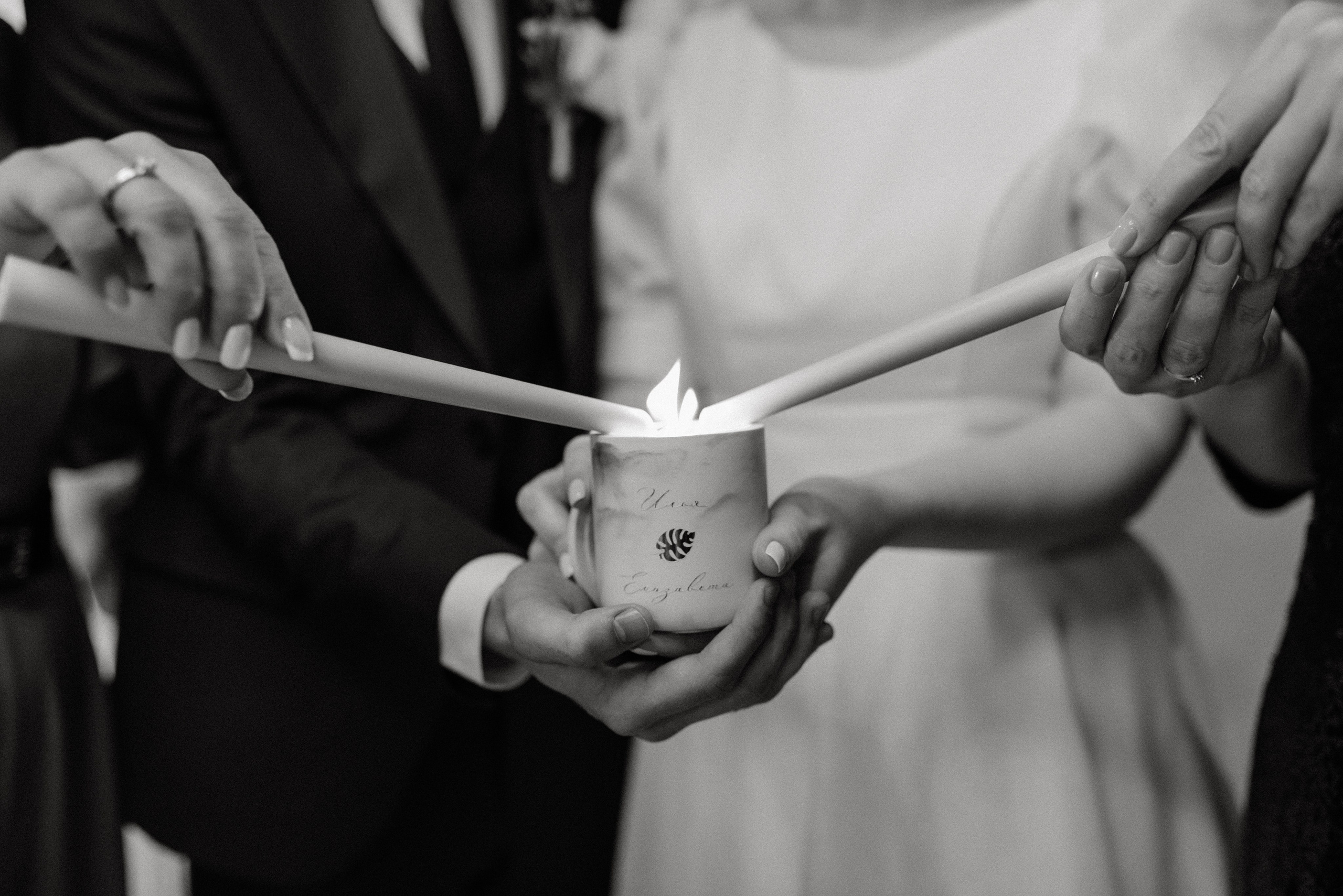 Зимний сад. Фотограф Гилярова Злата Белгород