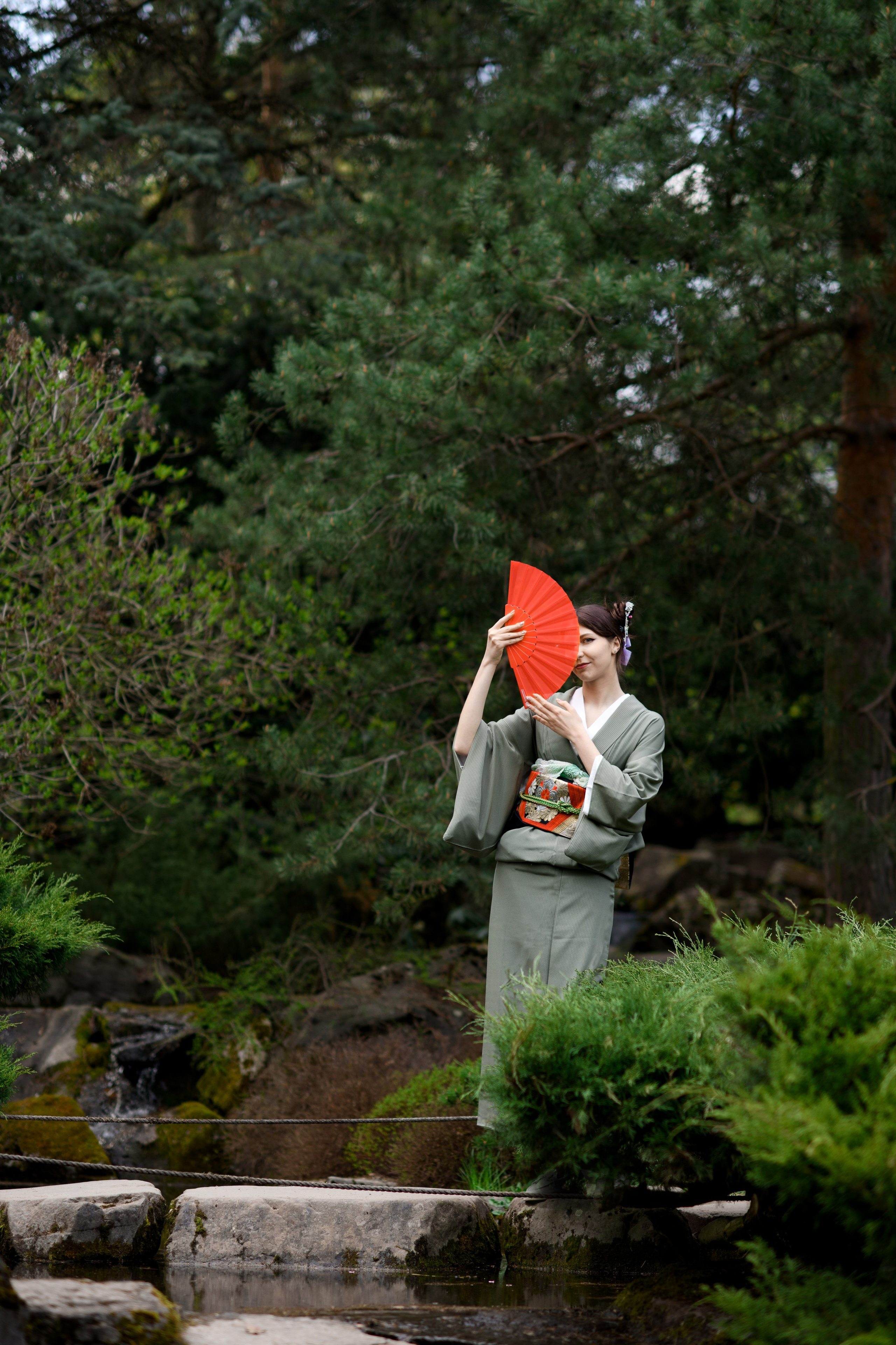 Любование цветением сакуры в Японском саду. Главная