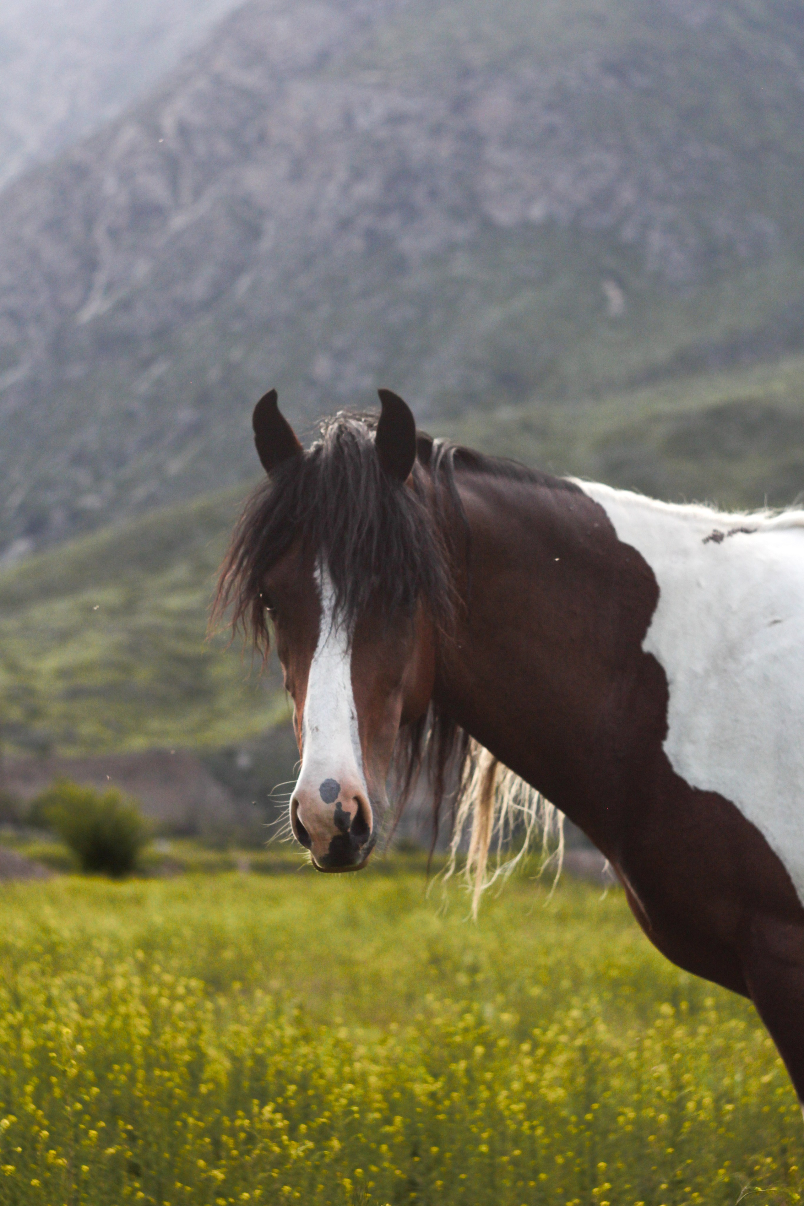 Природа. Фотограф Котий Даниил