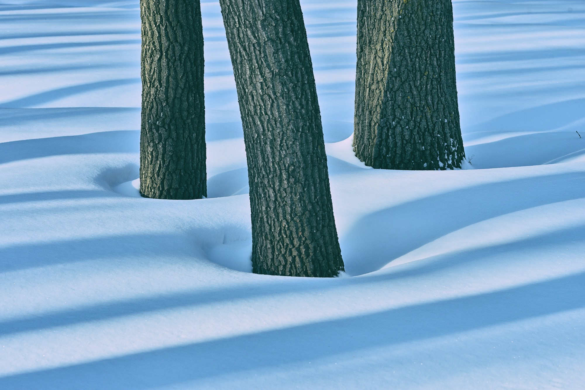 Фотограф Константин Ясинский